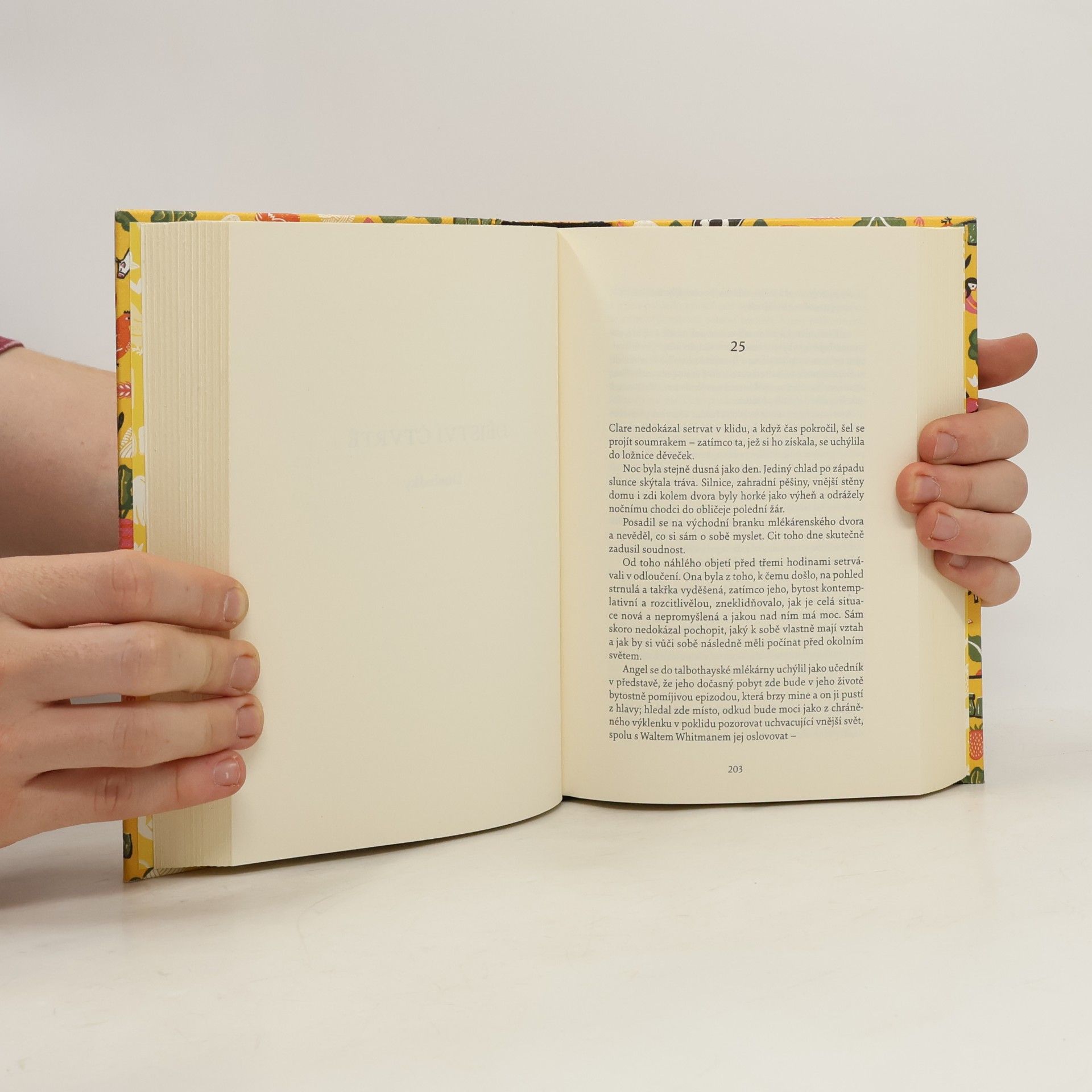 Thomas Hardy Tess z d´Urbervillů