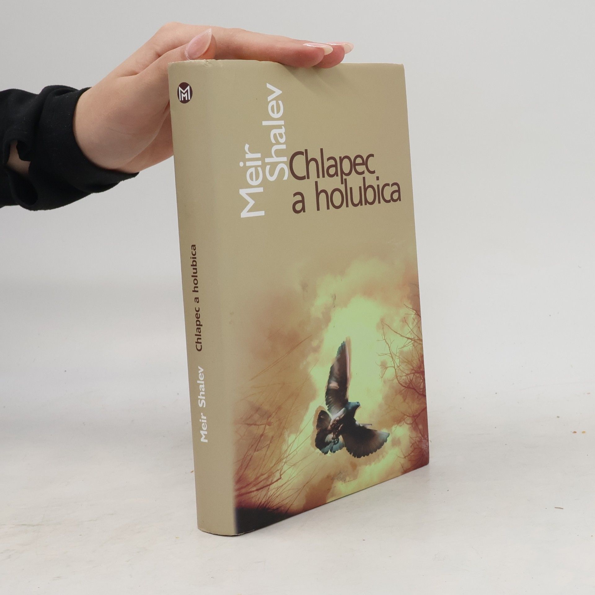 Me'ir Šalev Chlapec a holubica