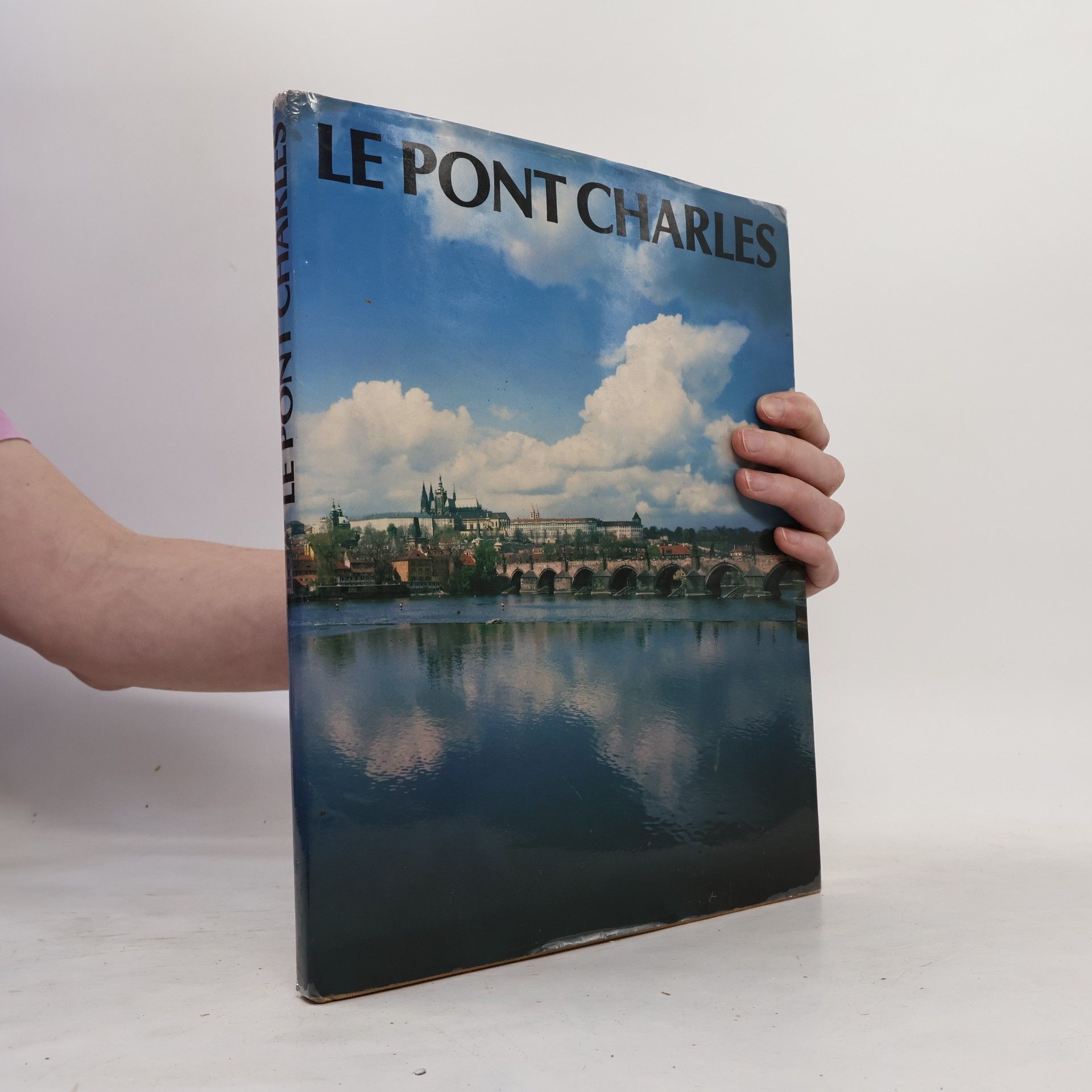 Karel Neubert Le Pont Charles