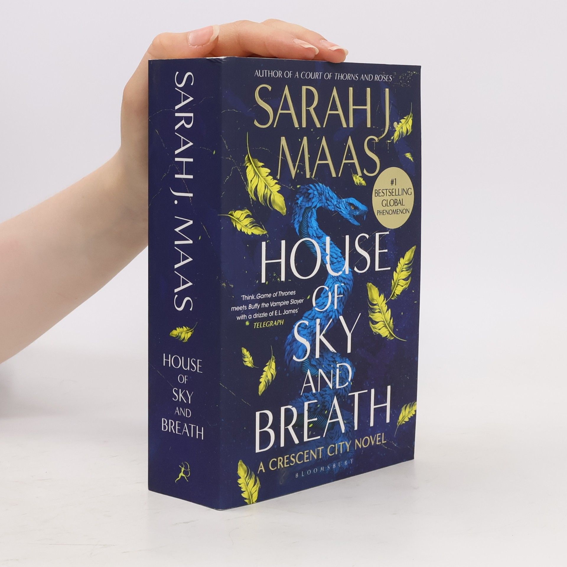 Sarah J. Maas House of Sky and Breath