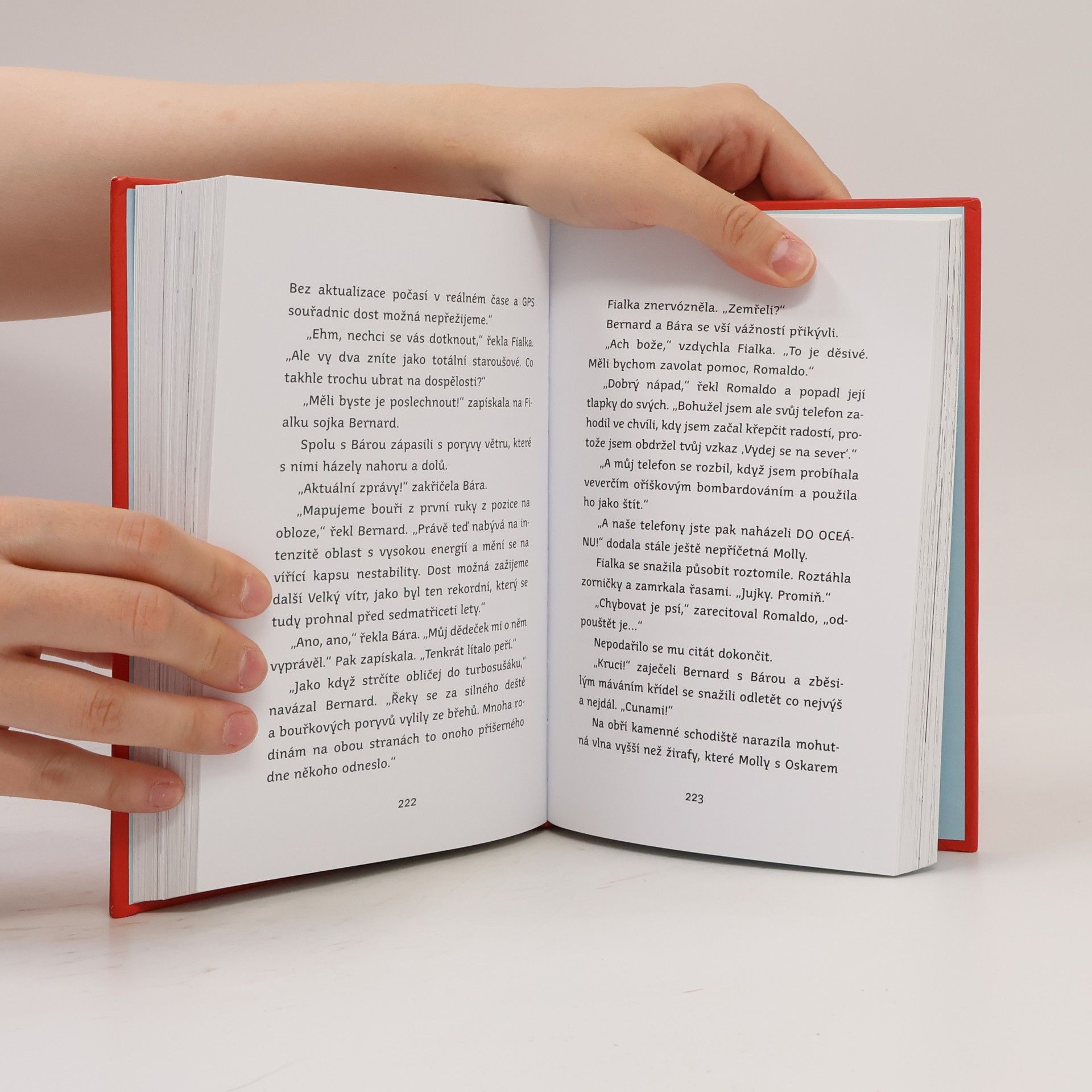 James Patterson Kočka plus pes