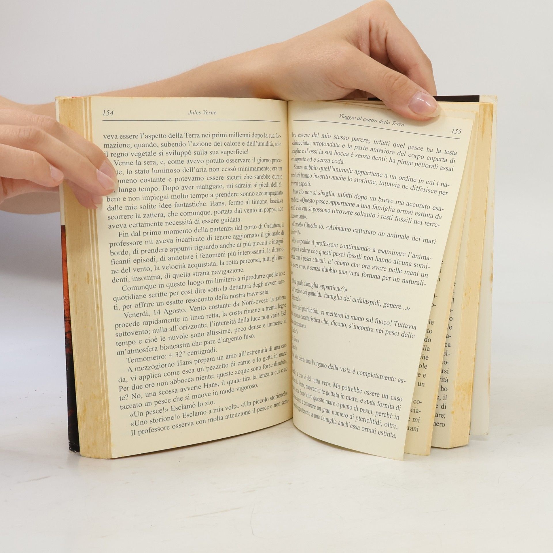Jules Verne La Biblioteca dei Ragazzi: Viaggio al centro della terra