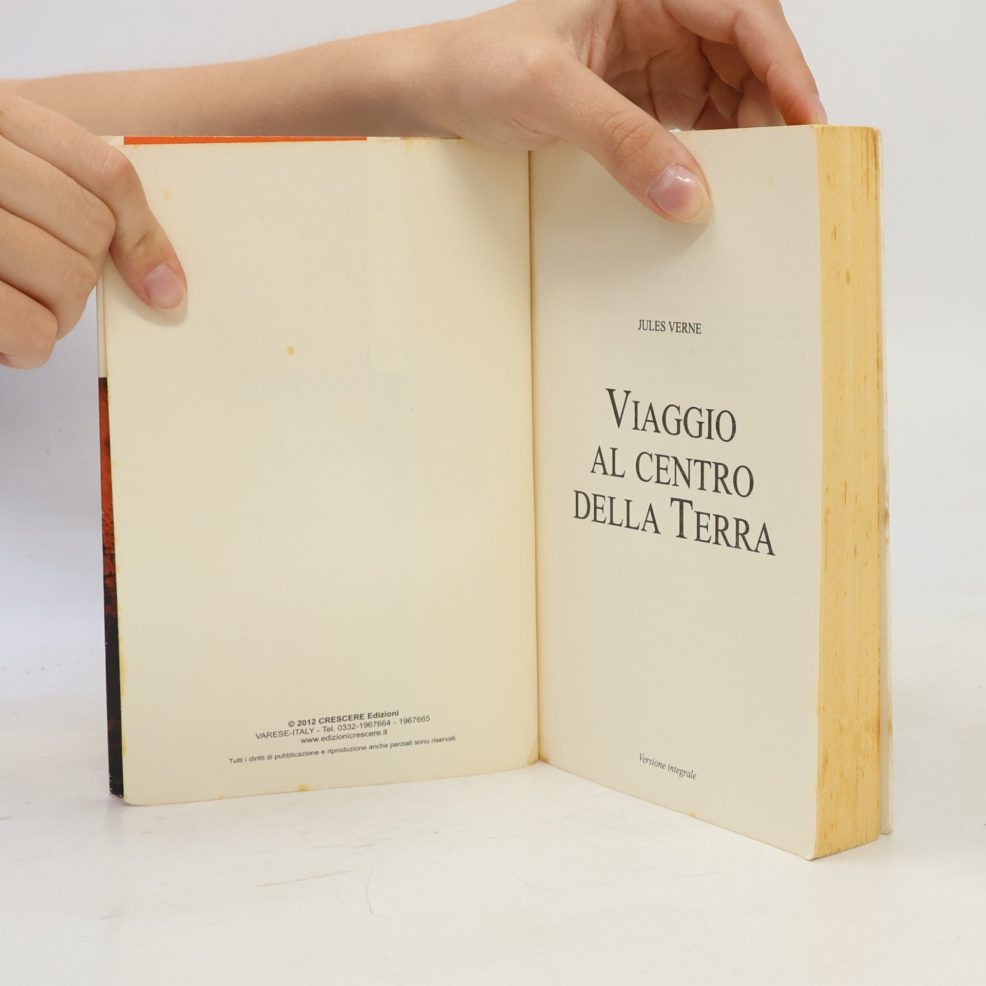 Jules Verne La Biblioteca dei Ragazzi: Viaggio al centro della terra