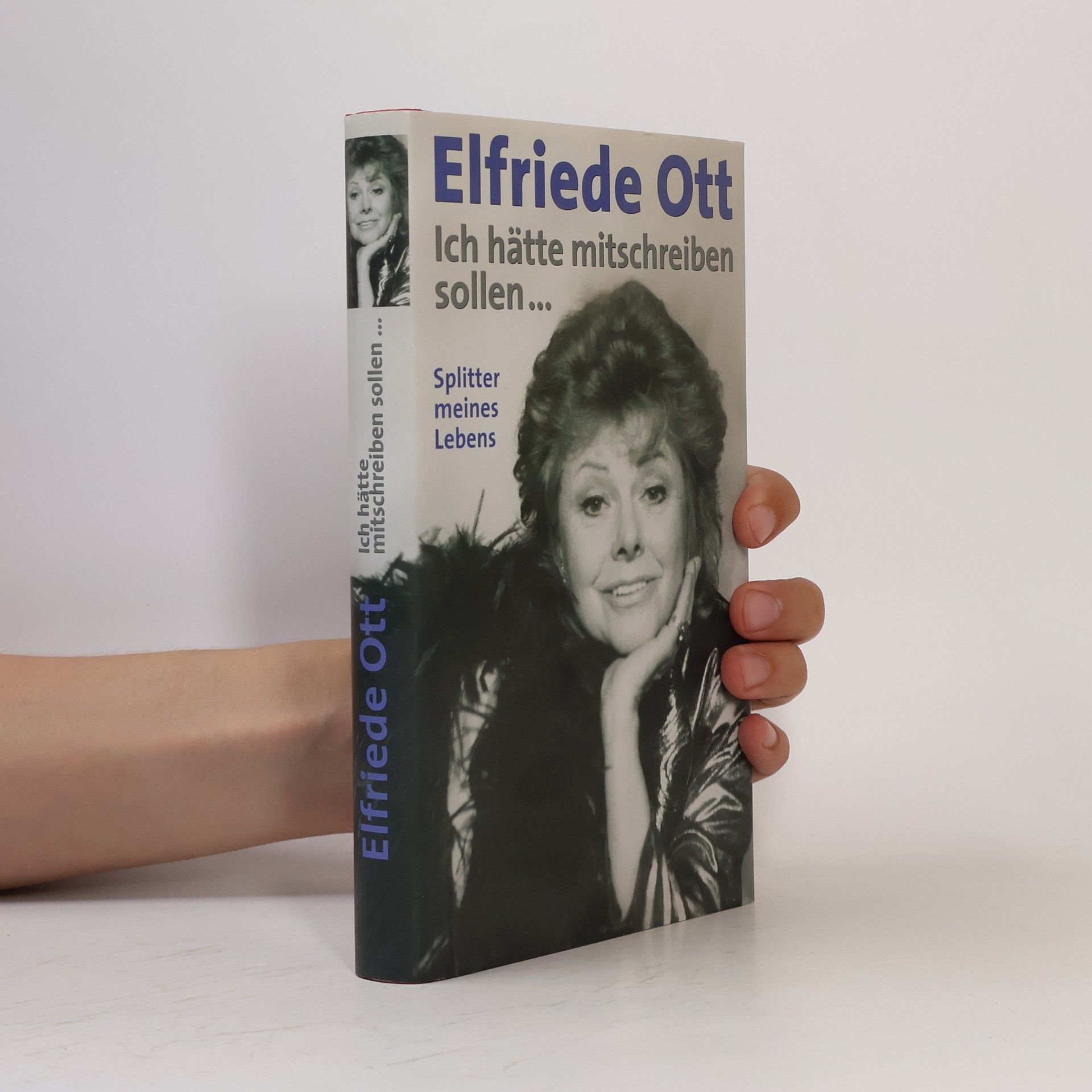 Elfriede Ott Ich hätte mitschreiben sollen... Splitter meines Lebens