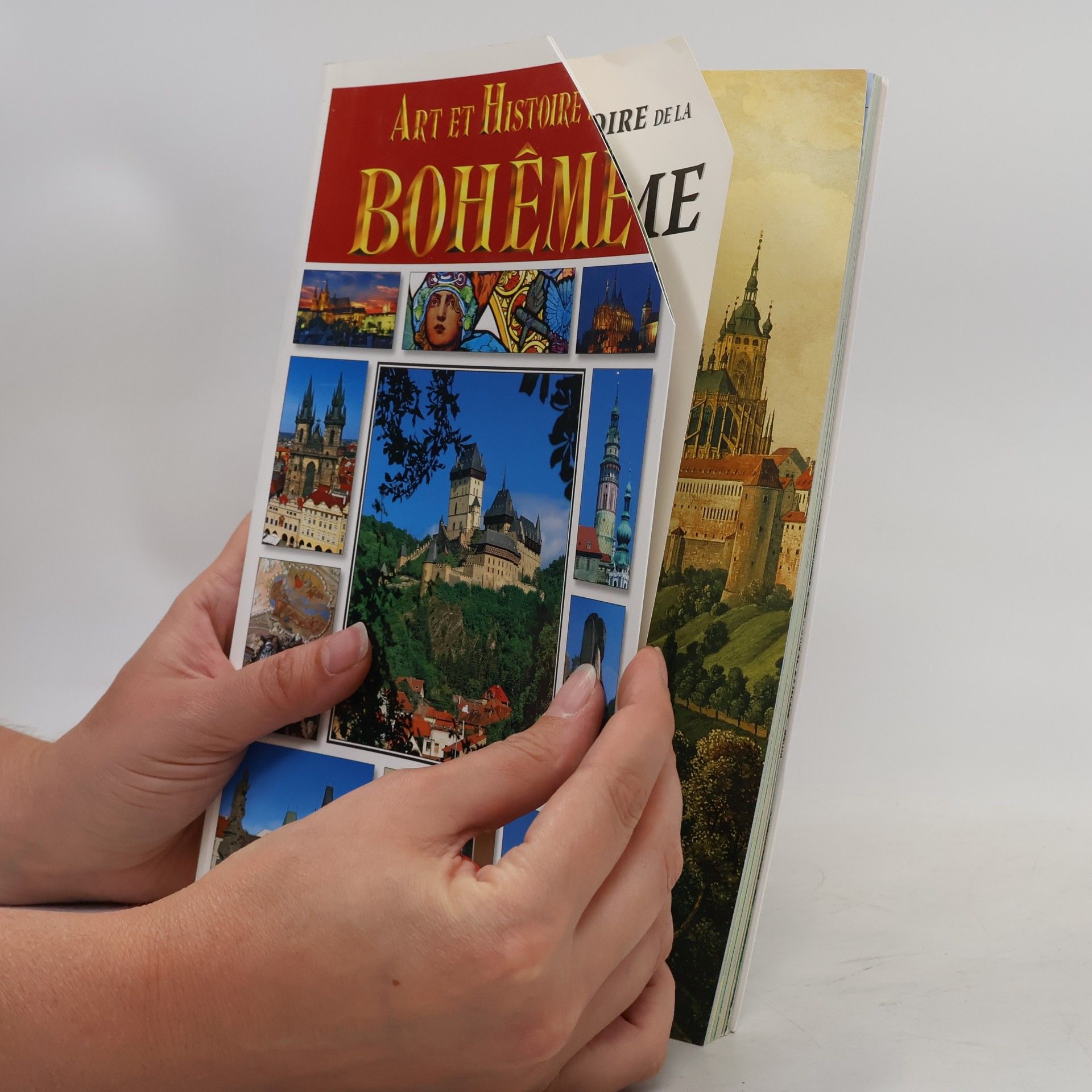 Auteurscollectief Art et histoire de la Bohème