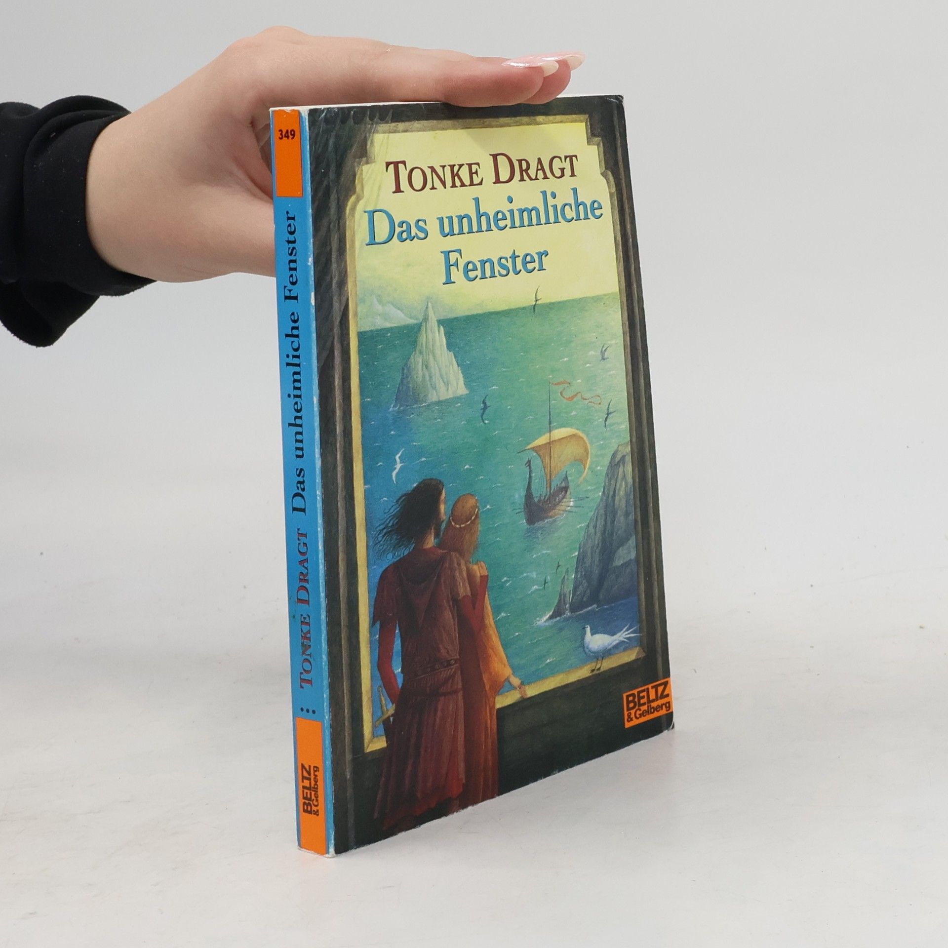 Tonke Dragt Das unheimliche Fenster