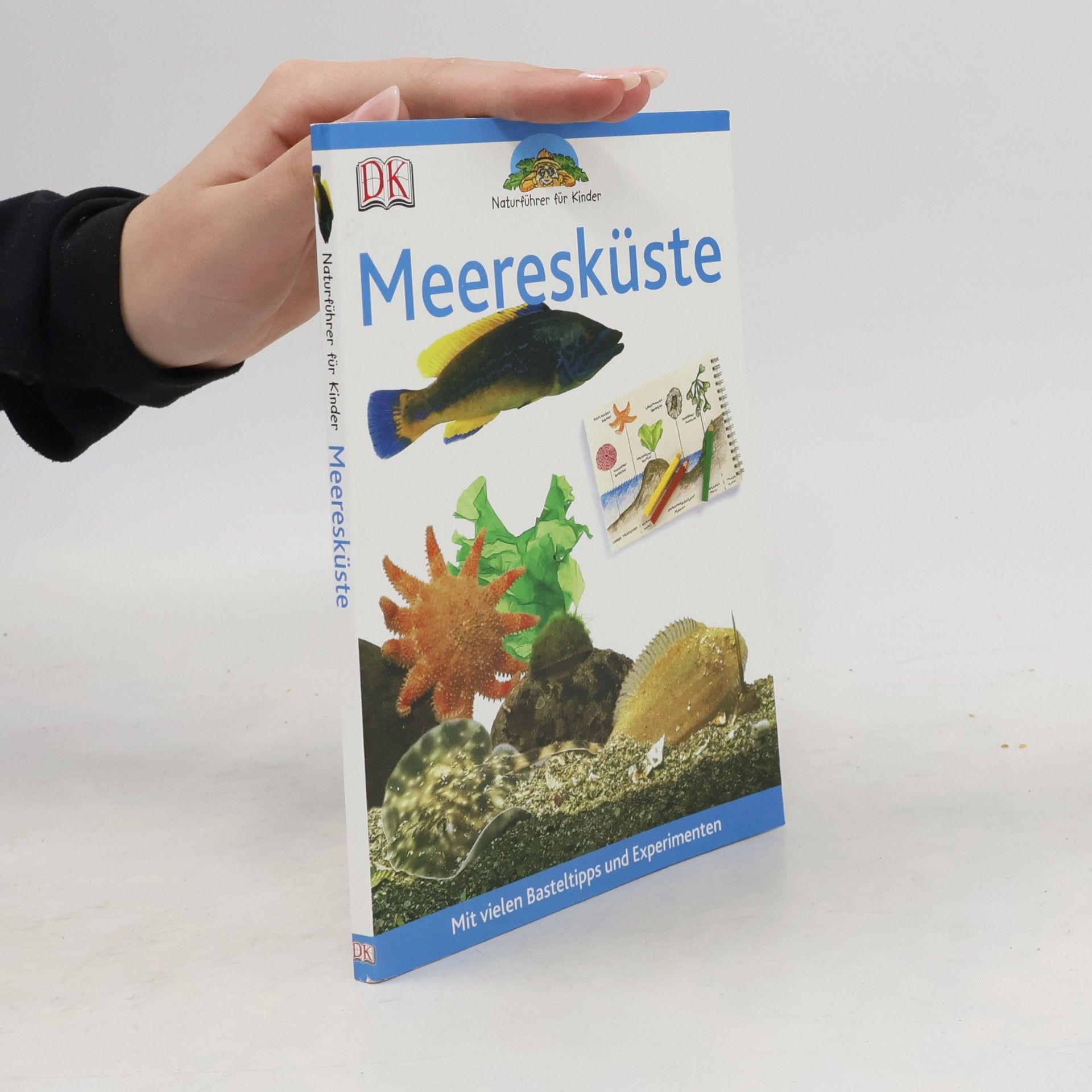 David Burnie Meeresküste