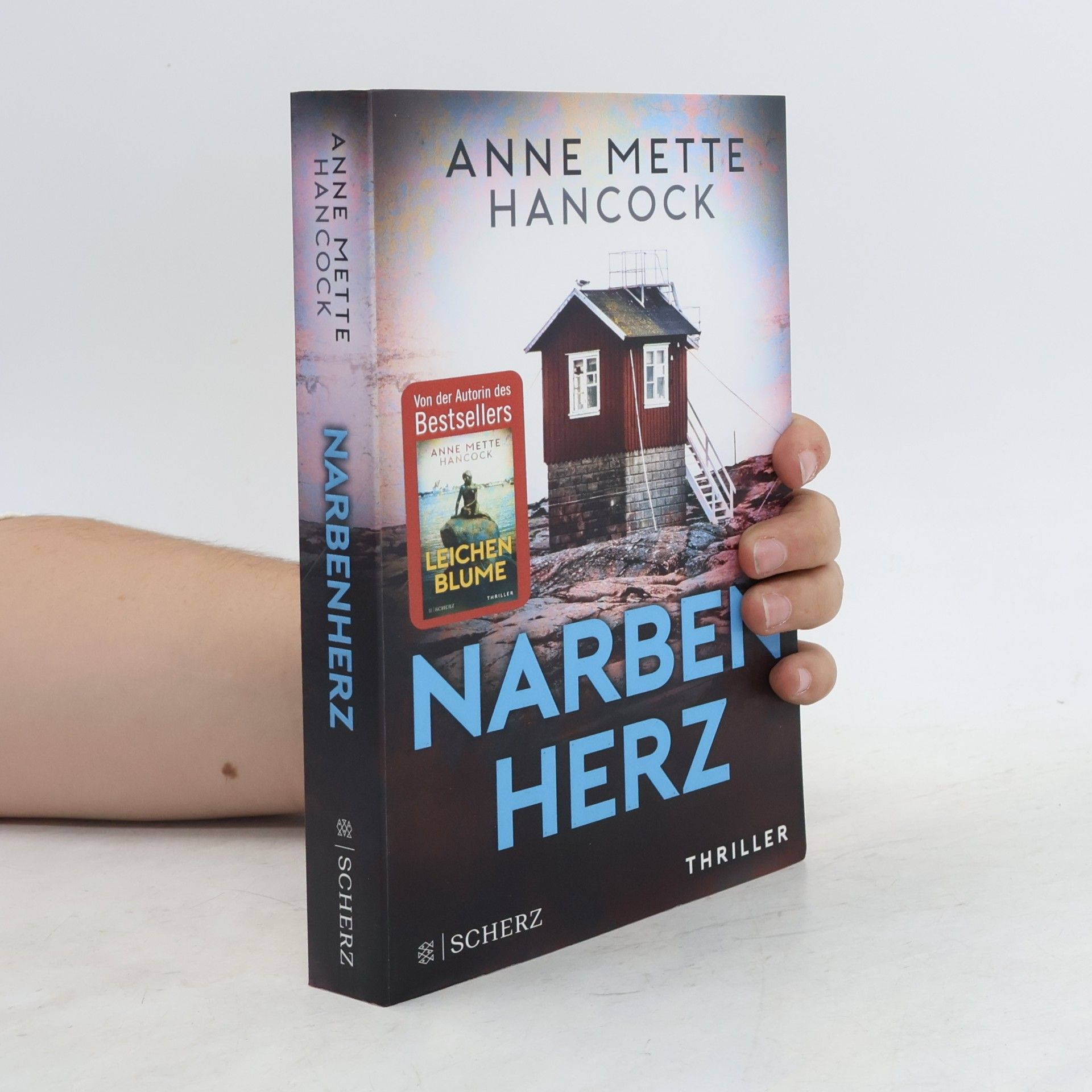 Anne Mette Hancock Narbenherz