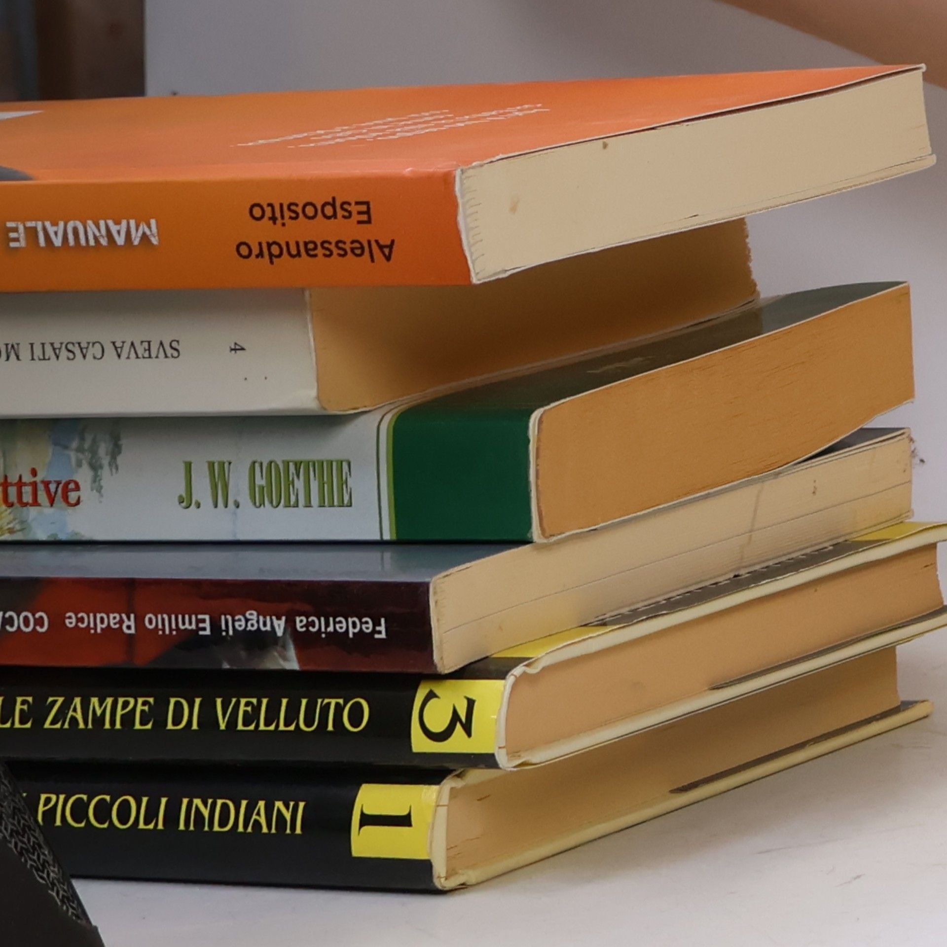 Marida Lombardo Pijola Ho 12 anni, faccio la cubista, mi chiamano Principessa