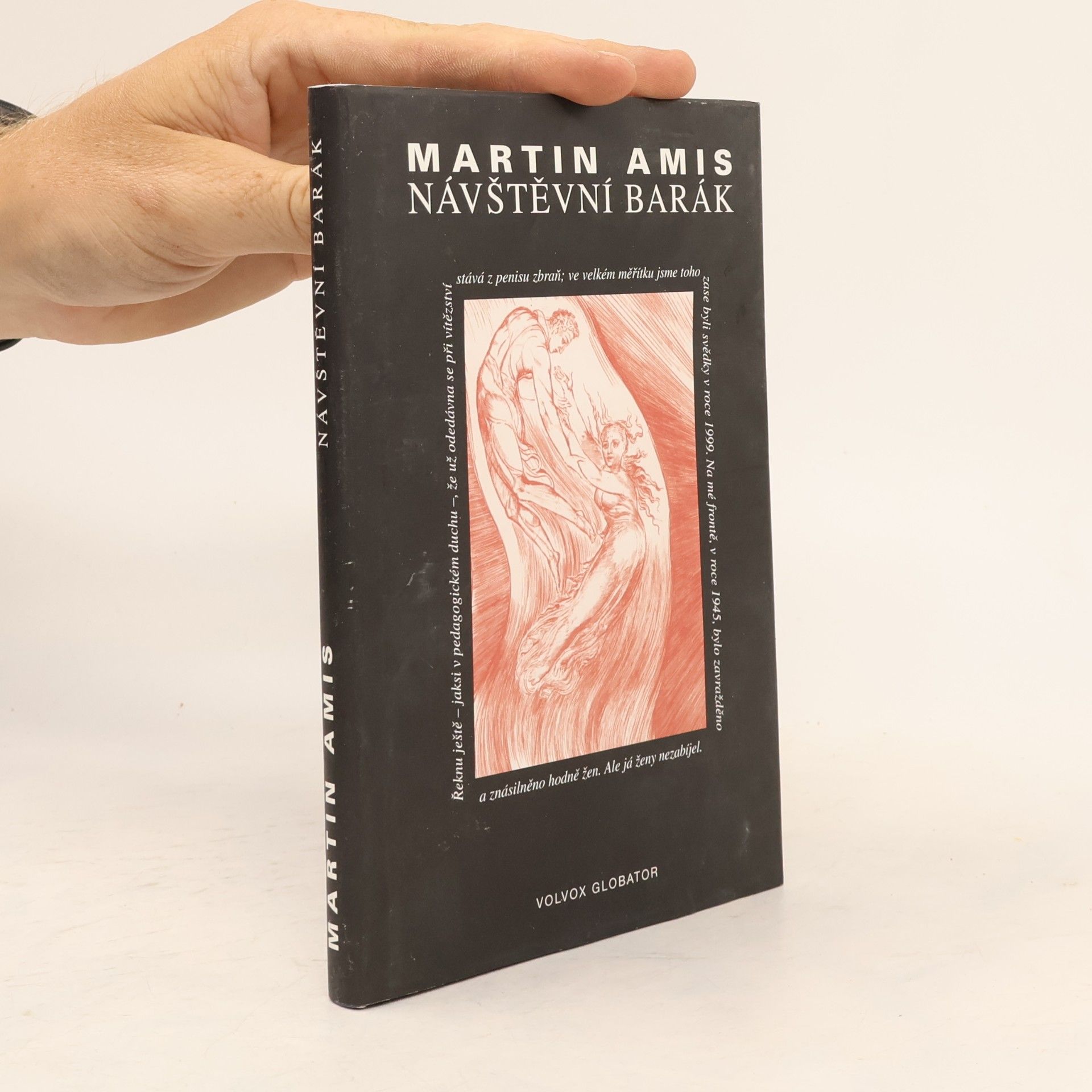 Martin Amis Návštěvní barák