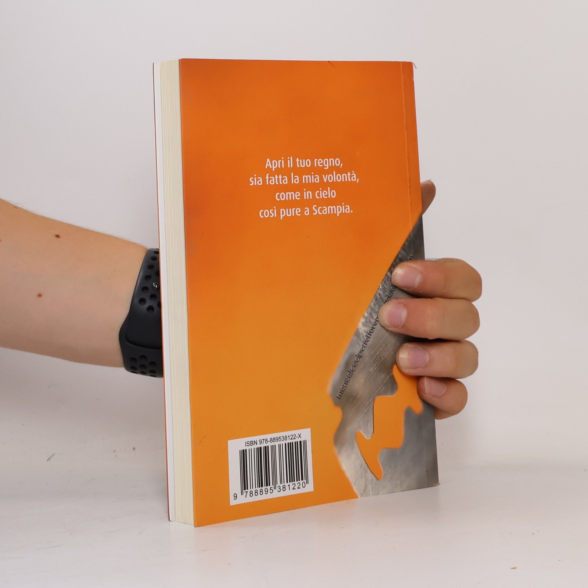 Alessandro Esposito Manuale del perfetto venditore di droga. Romanzo con business plan