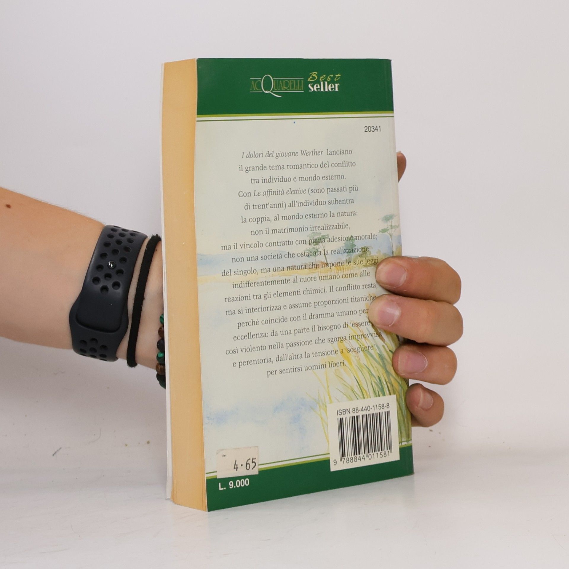 Johann Wolfgang Goethe Acquarelli best seller: Le affinità elettive