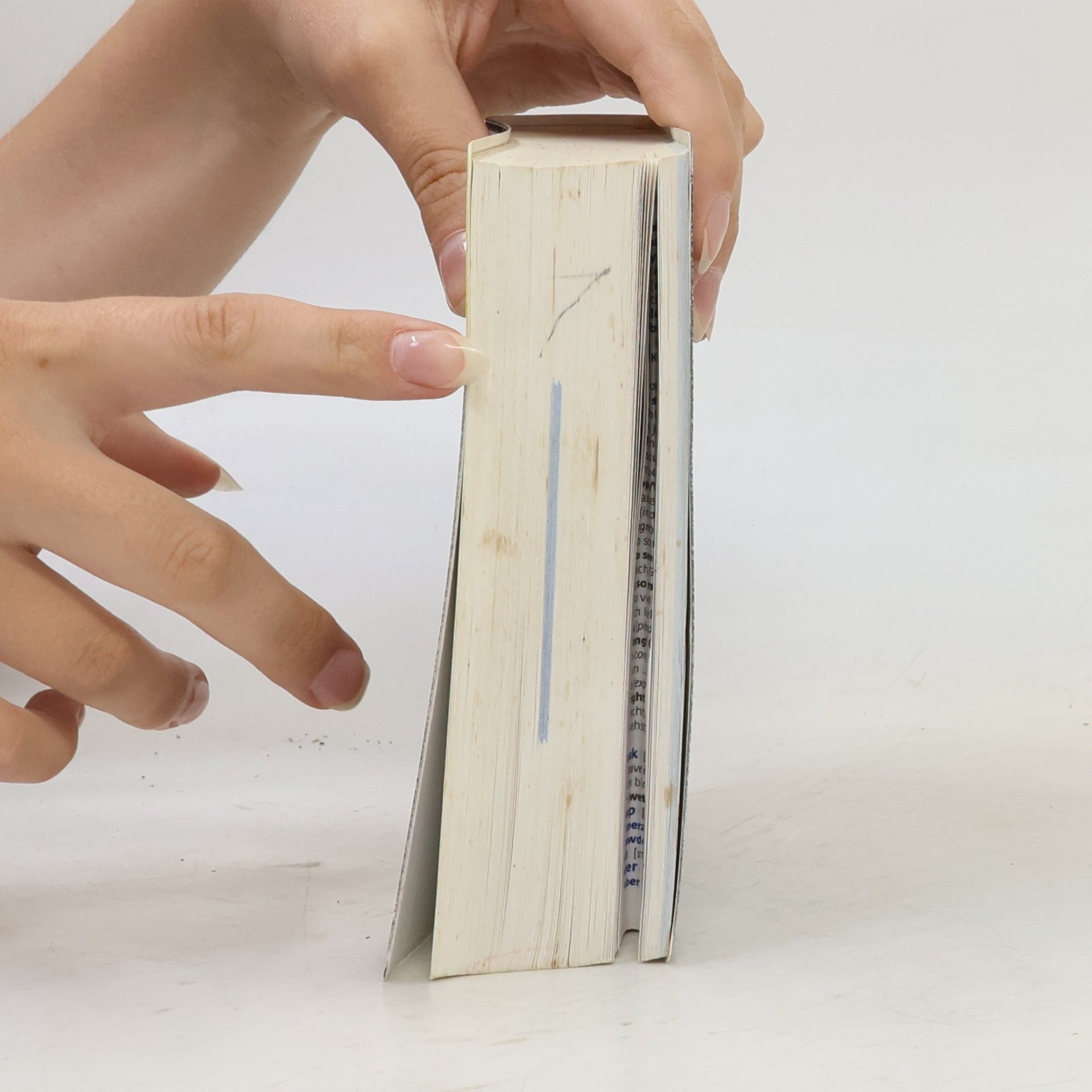 Autores varios Pocket German Dictionary in colour