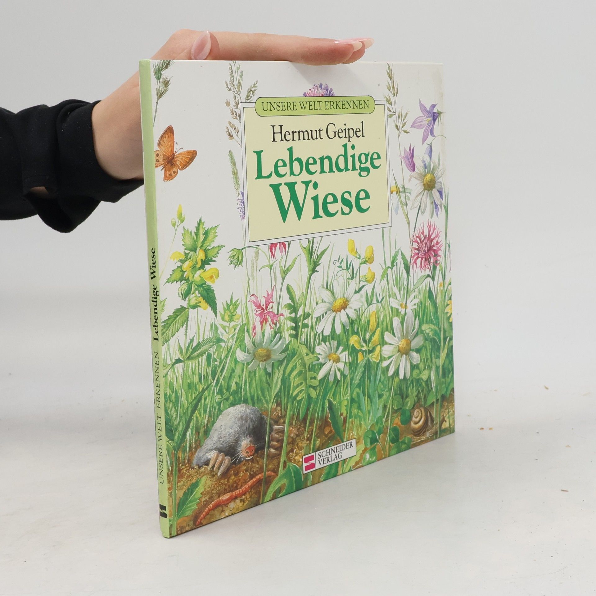Lebendige Wiese