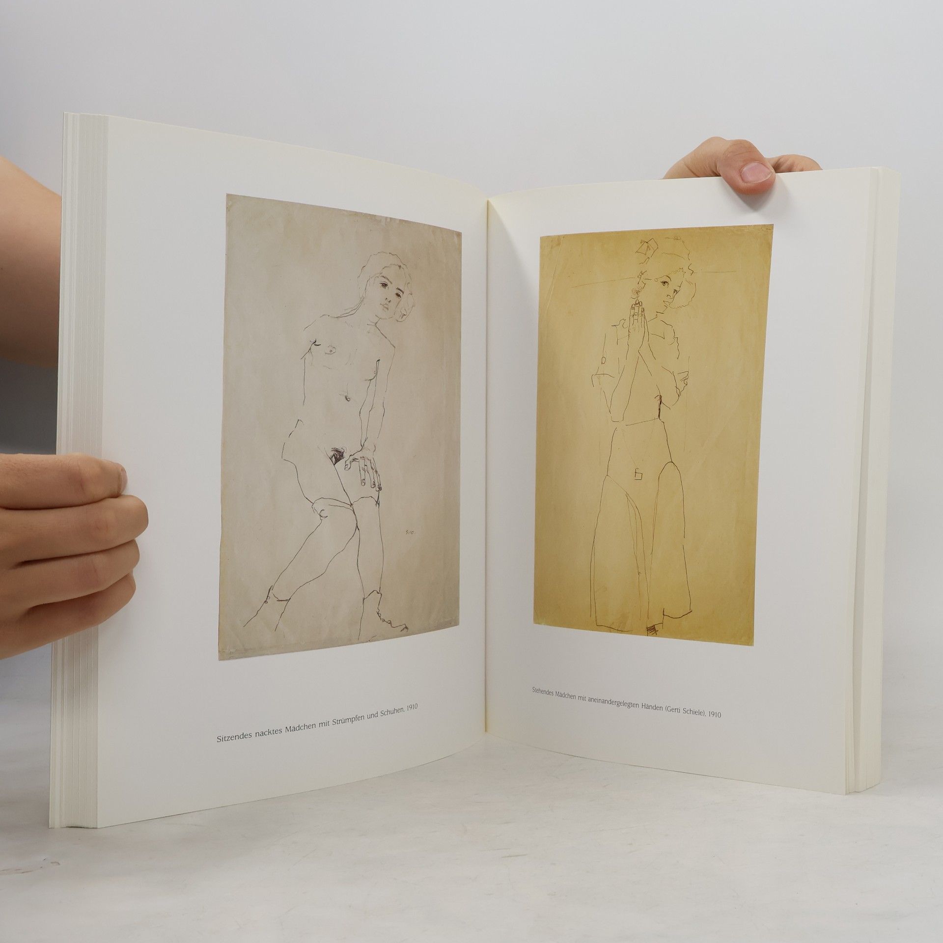 Rudolf Leopold Egon Schiele : Die Sammlung Leopold