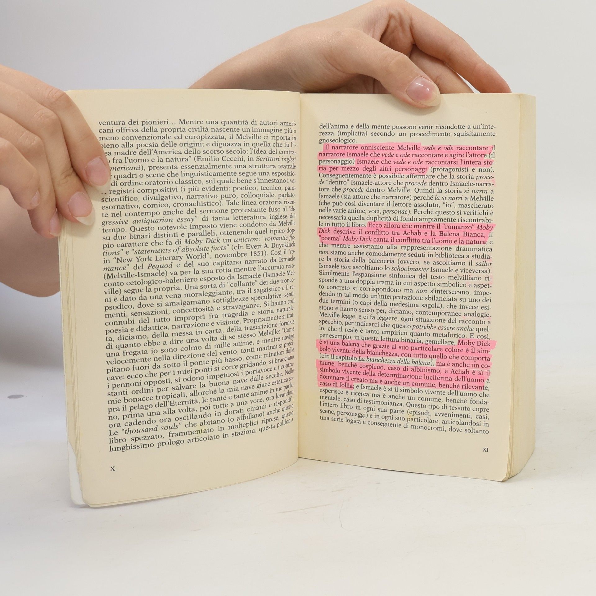 Herman Melville Moby Dick