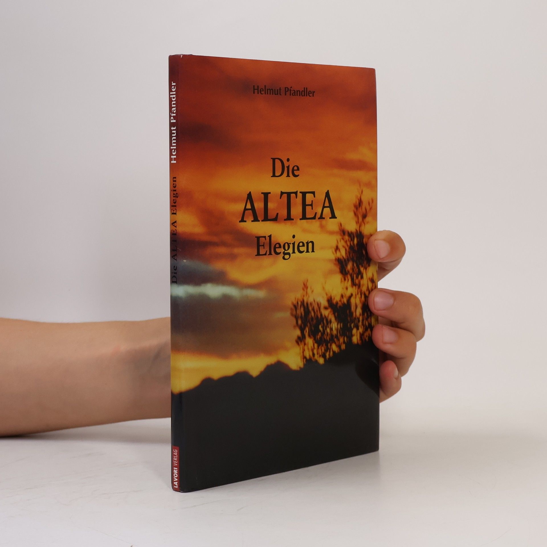 Helmut Pfandler Schriften aus dem Casa De La Paz - 5: Die Altea Elegien