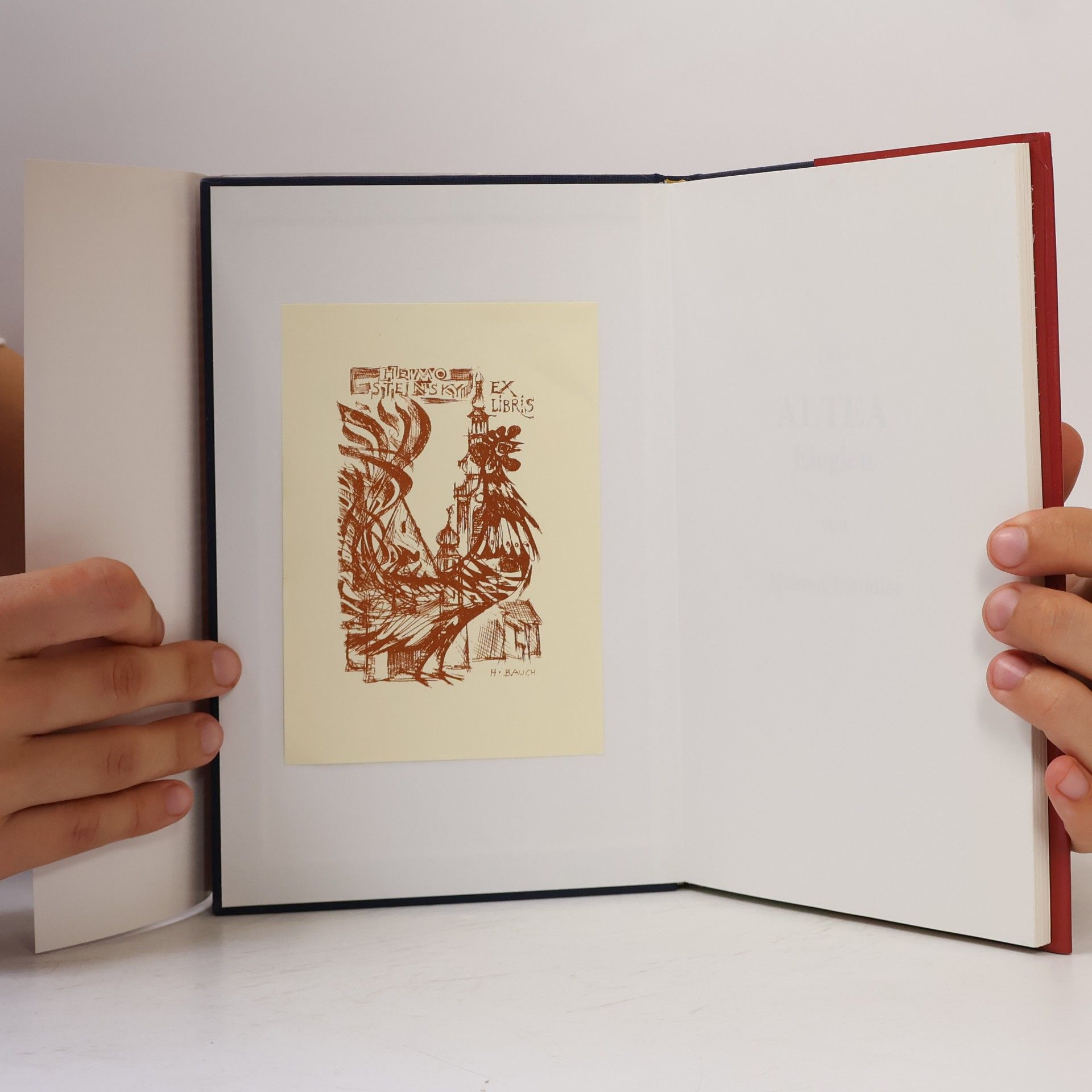 Helmut Pfandler Schriften aus dem Casa De La Paz - 5: Die Altea Elegien