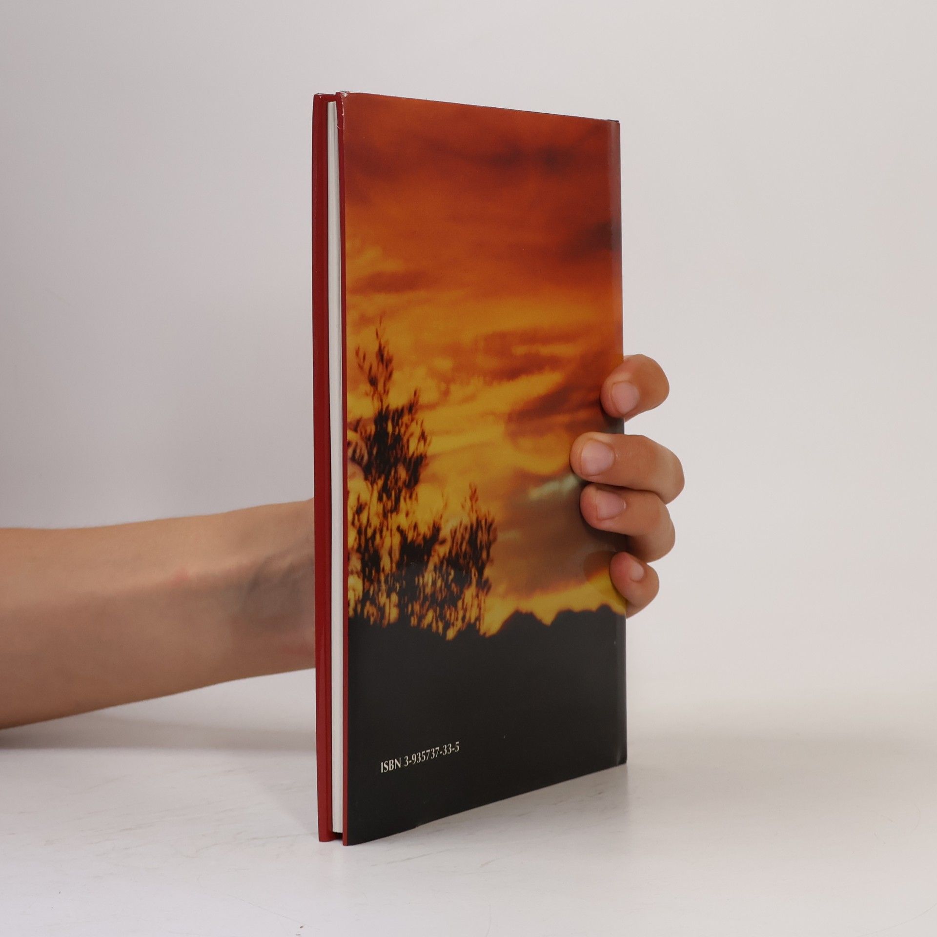 Helmut Pfandler Schriften aus dem Casa De La Paz - 5: Die Altea Elegien