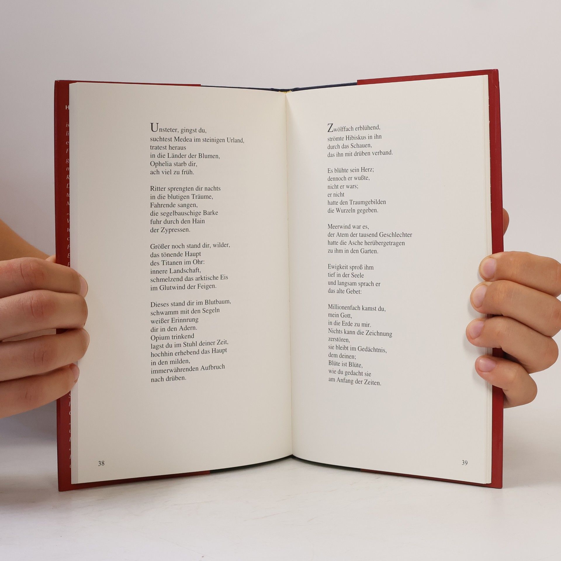 Helmut Pfandler Schriften aus dem Casa De La Paz - 5: Die Altea Elegien