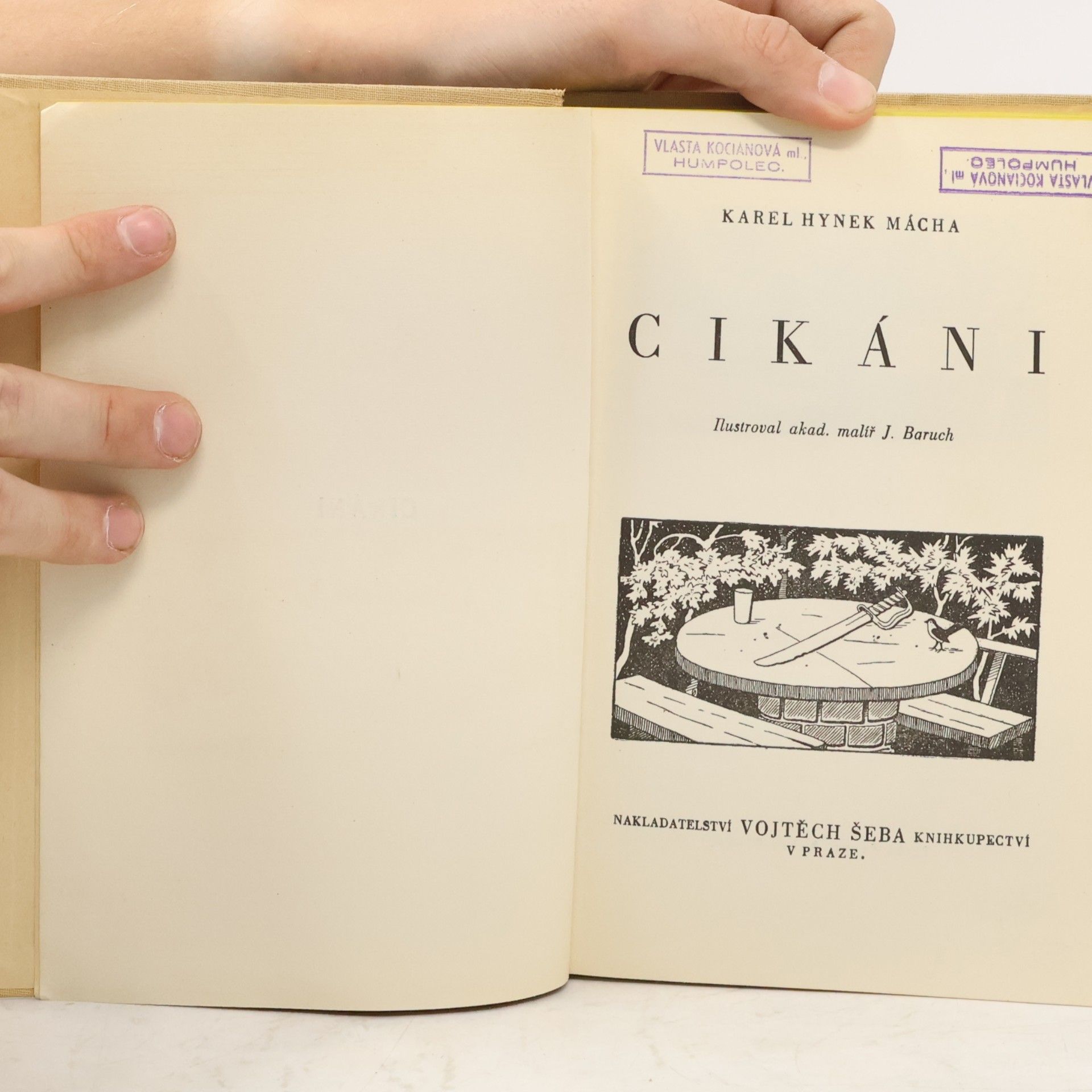 Karel Hynek Mácha Cikáni