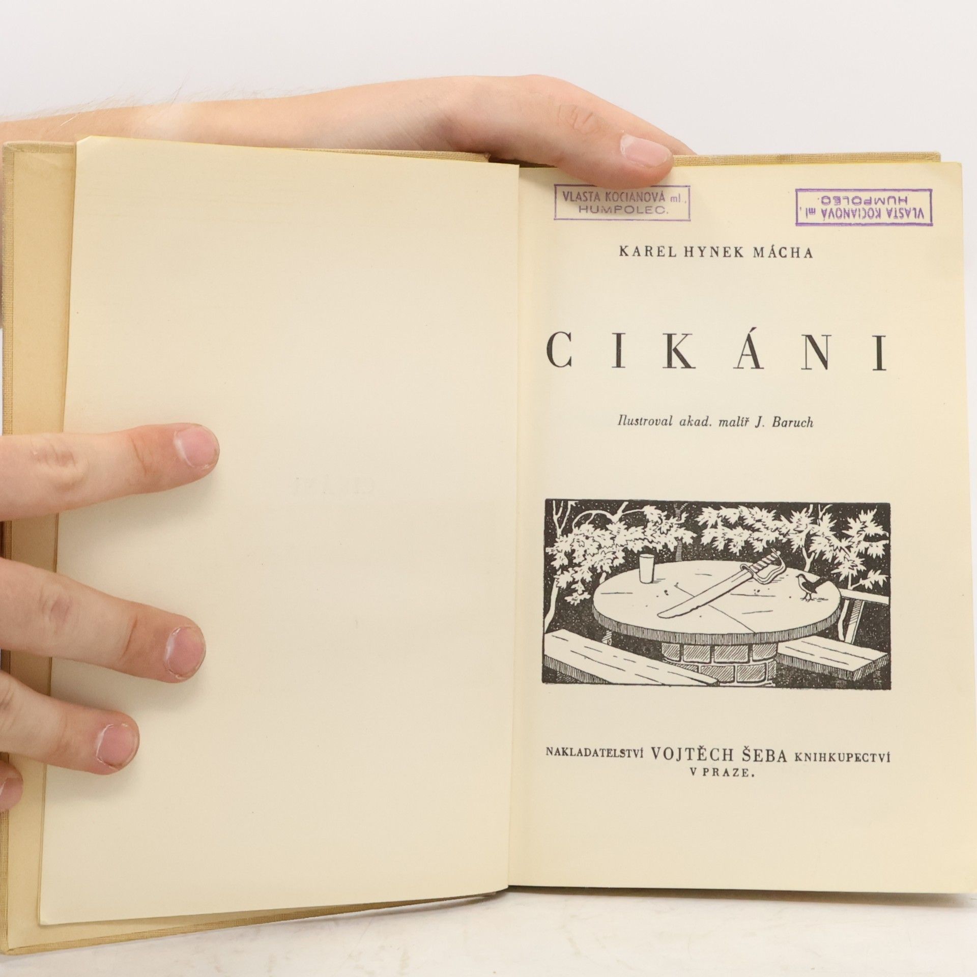Karel Hynek Mácha Cikáni