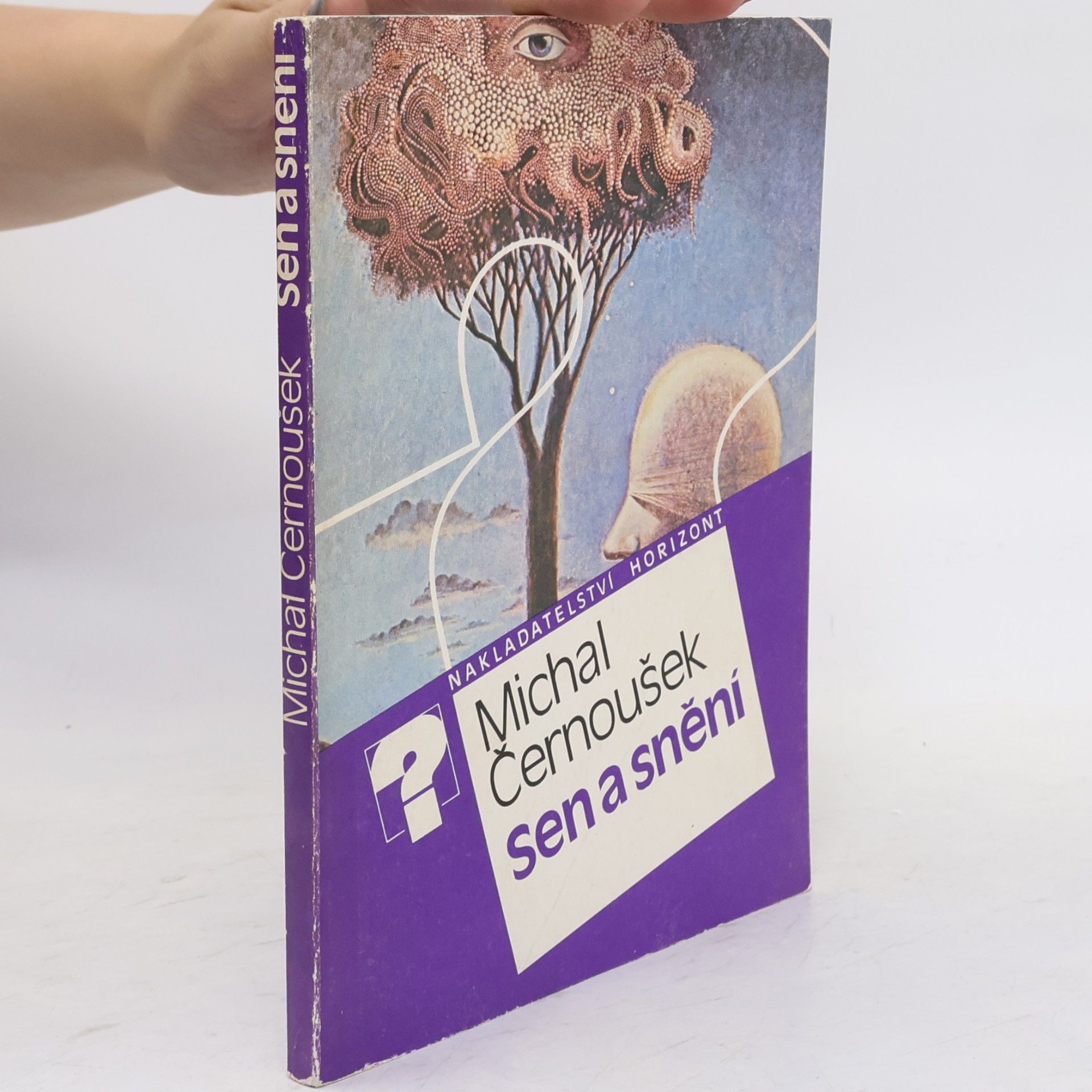 Michal Černoušek Sen a snění
