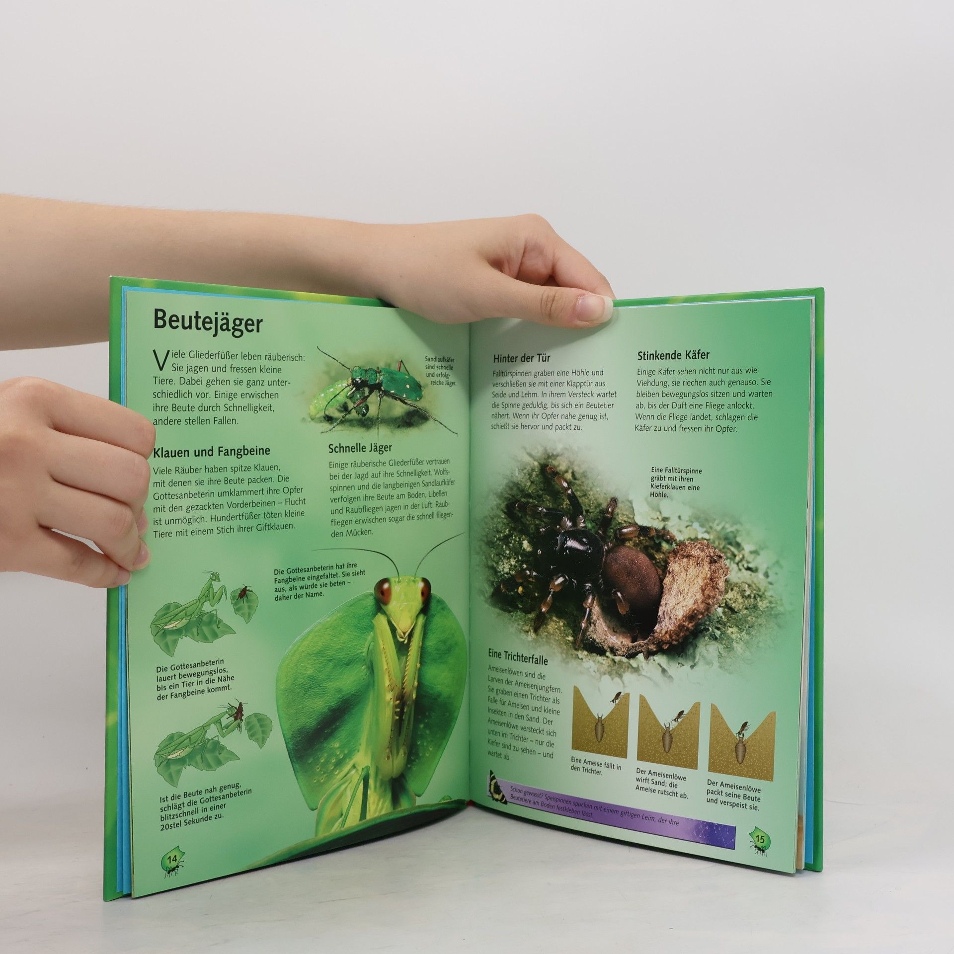 Rosie Dickins Käfer, Insekten und anderes Getier