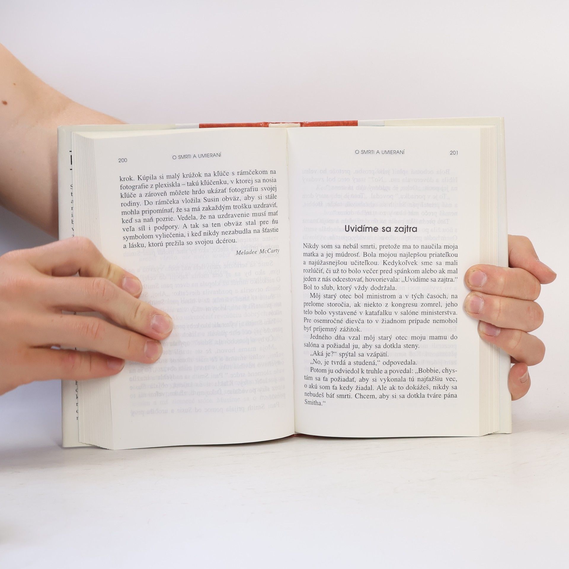 Jack Canfield Slepačia polievka pre dušu - 2. porcia