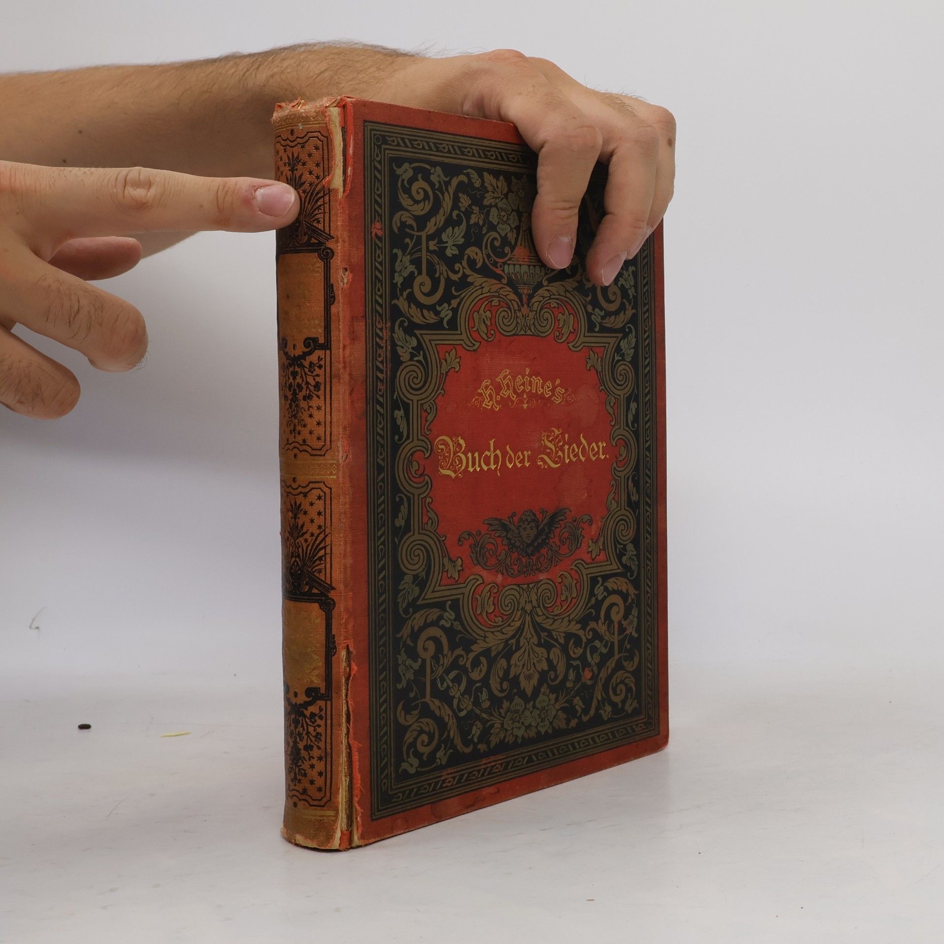 Heinrich Heine Buch der Lieder
