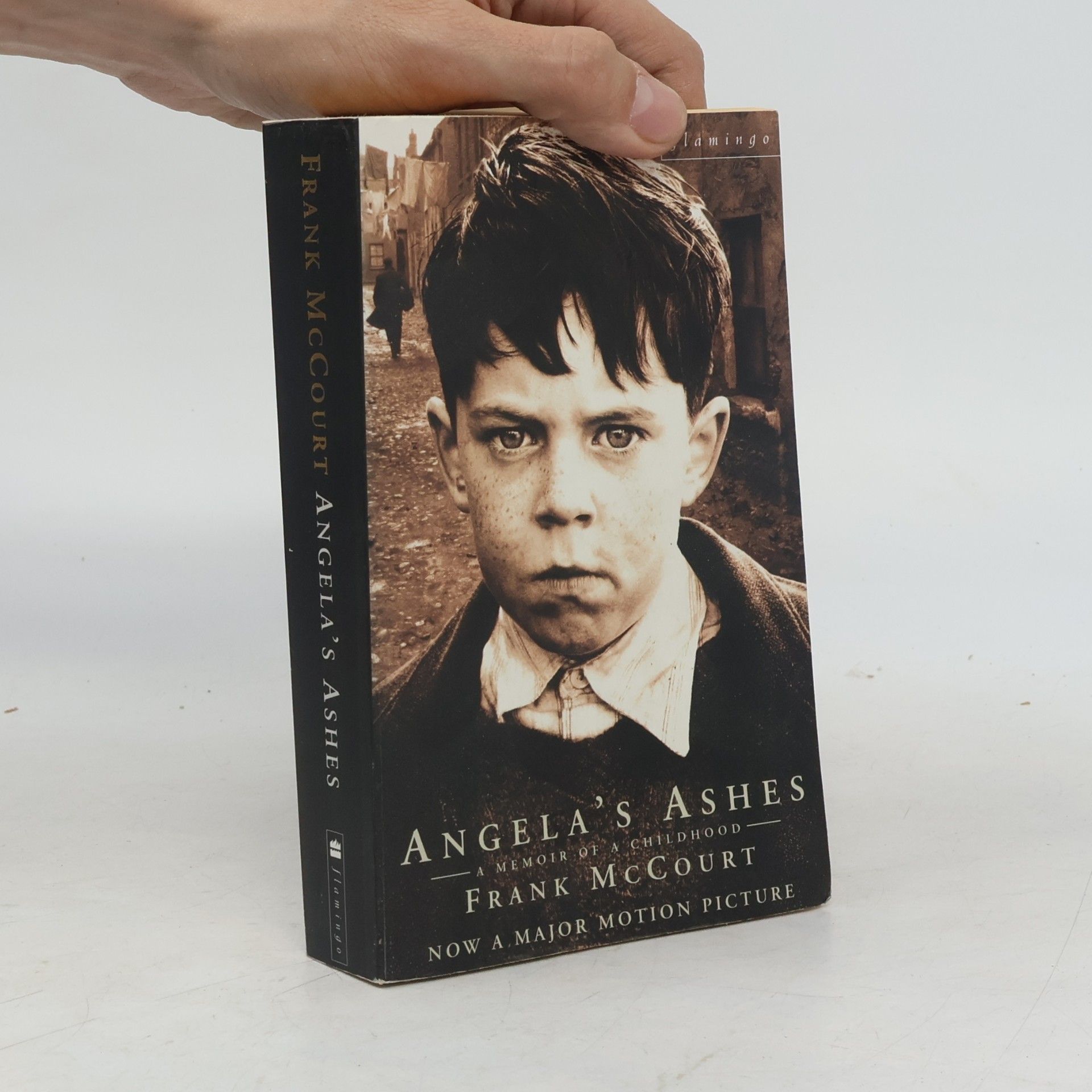 Frank McCourt Angela's Ashes