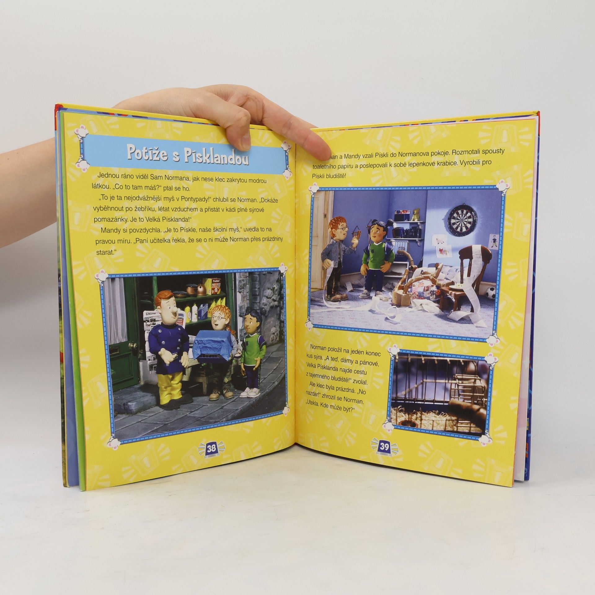 Autorenkollektiv Požárník Sam Knížka na rok 2009