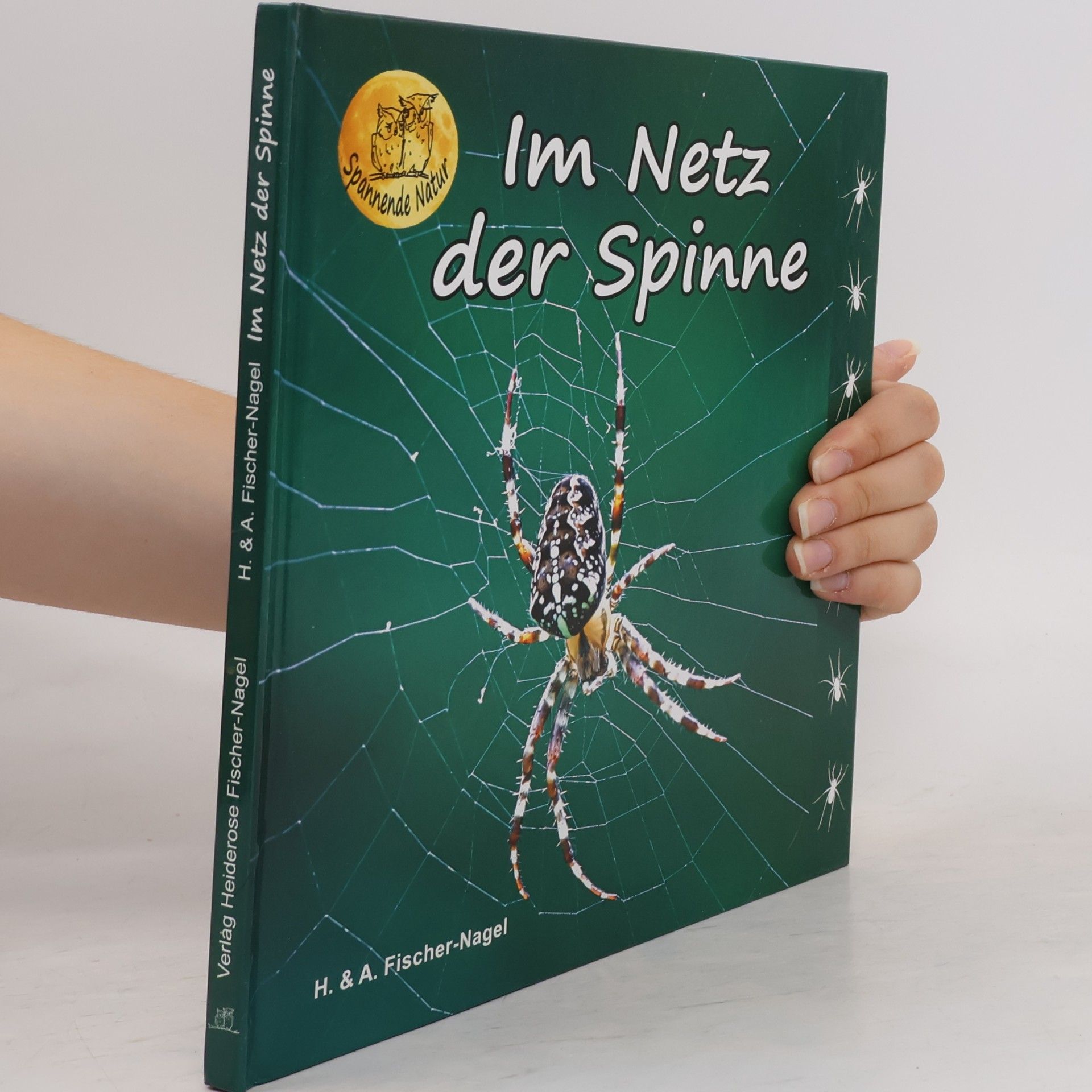 Heiderose Fischer-Nagel Im Netz der Spinne