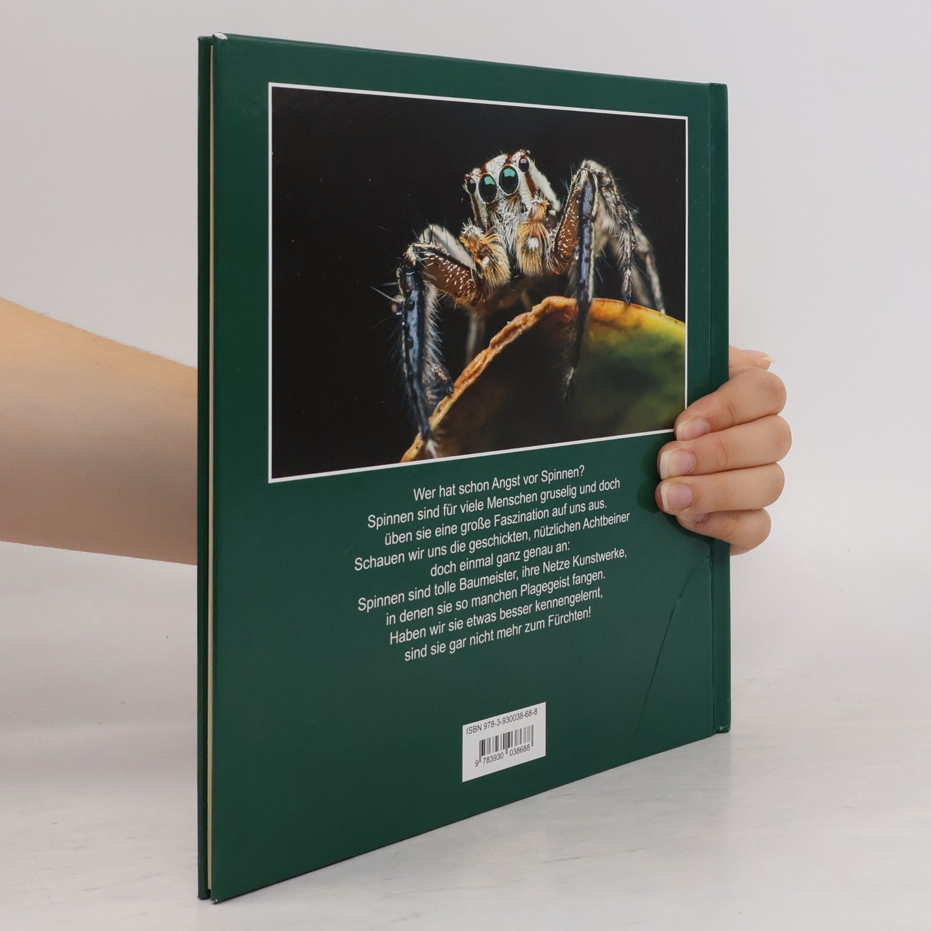 Heiderose Fischer-Nagel Im Netz der Spinne