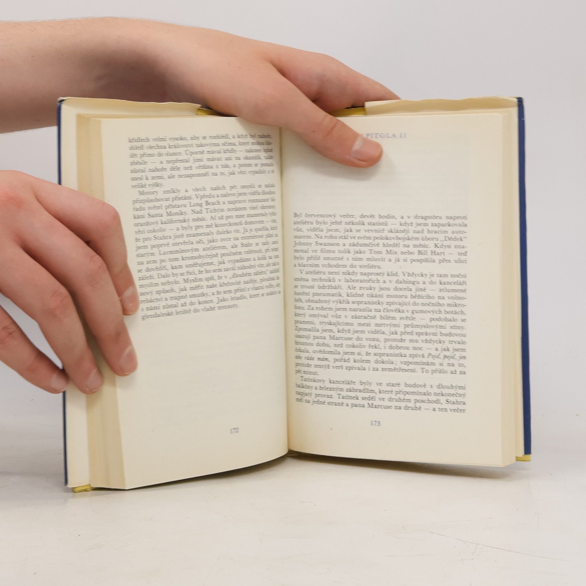 F. Scott Fitzgerald Velký Gatsby. Poslední magnát