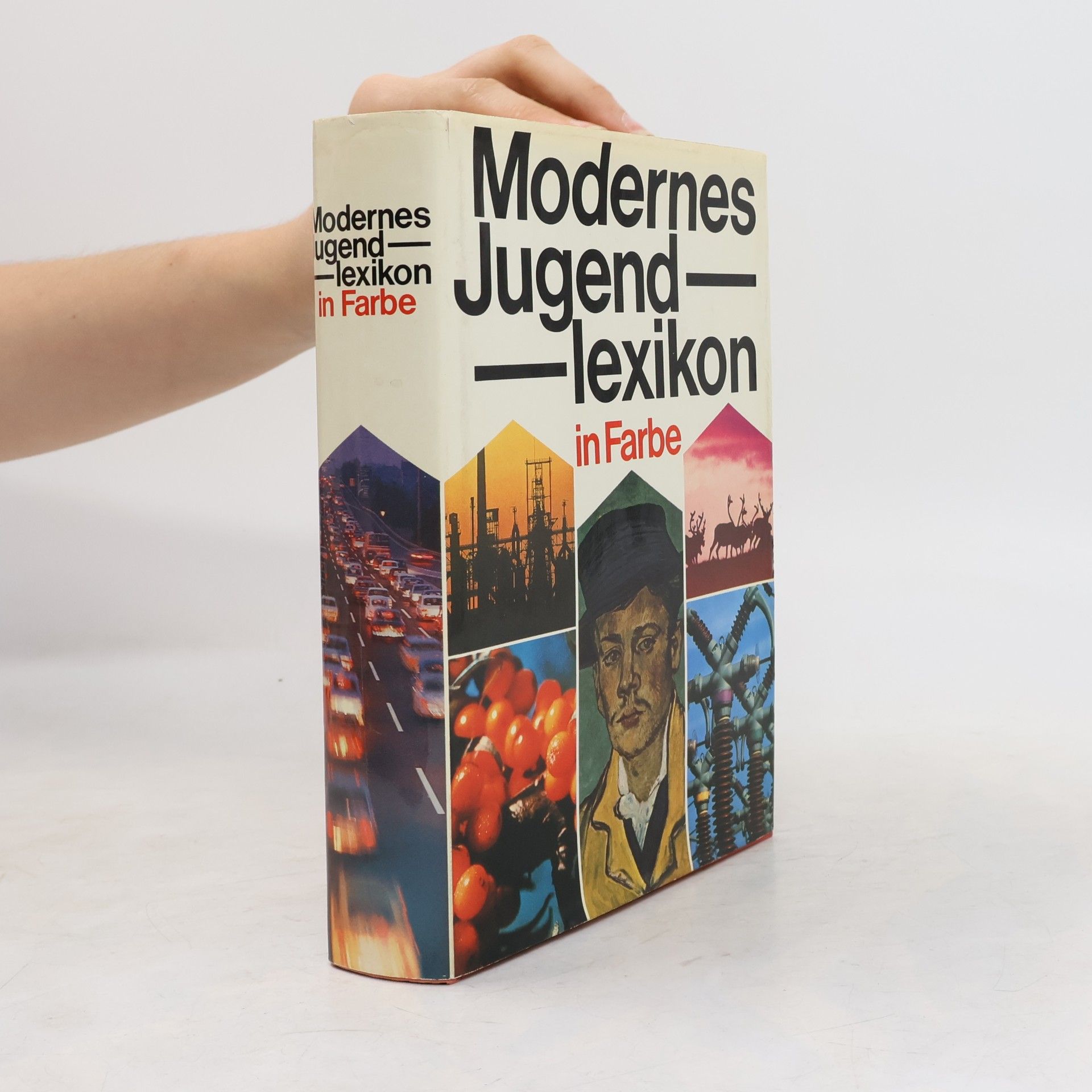 Kolektív autorov Modernes Jugendlexikon in Farbe