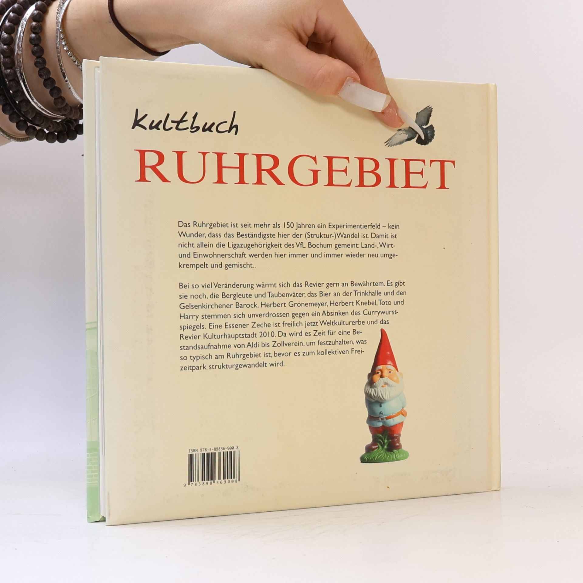 Patrick Bierther Kultbuch Ruhrgebiet