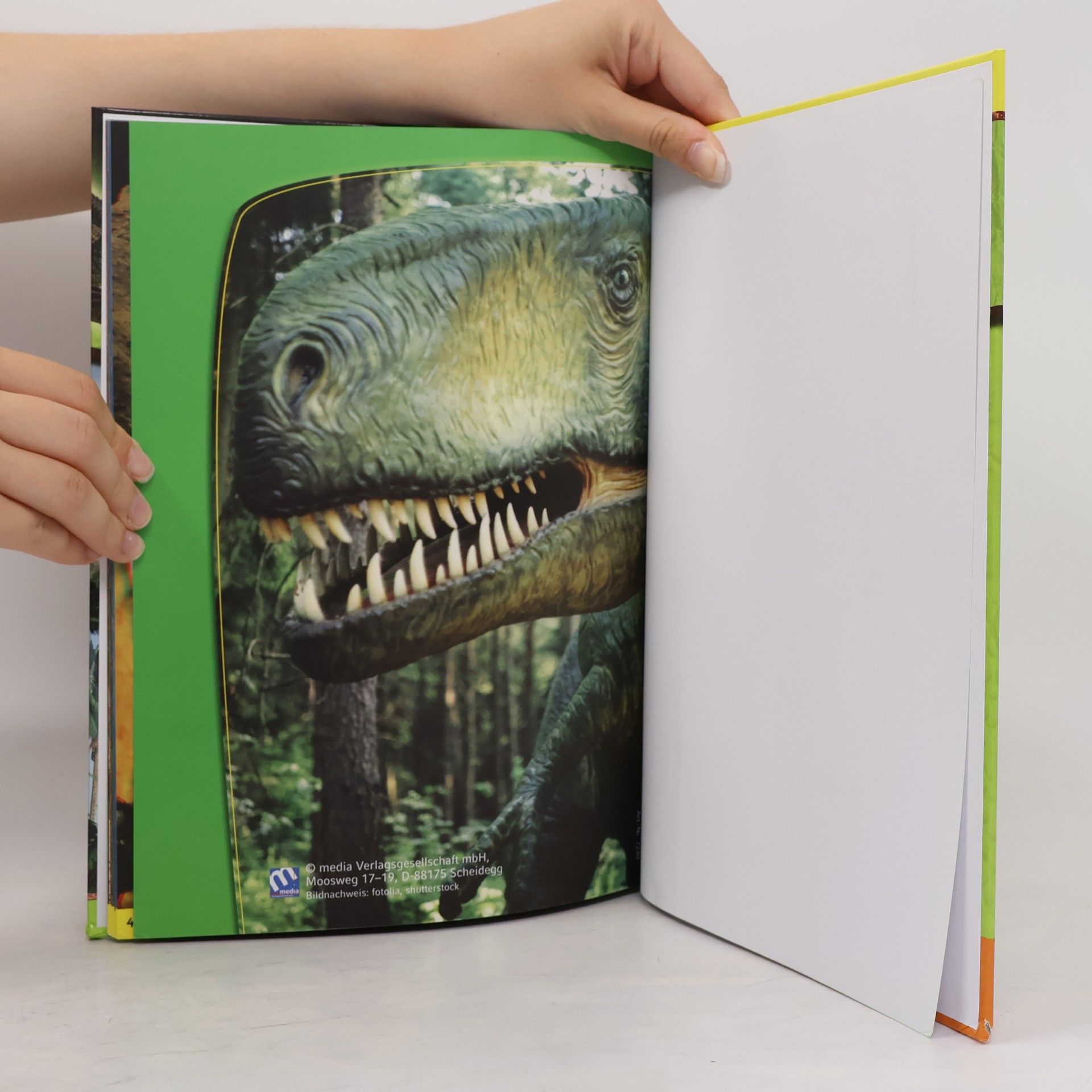 Auteurscollectief Dinosaurier 3D