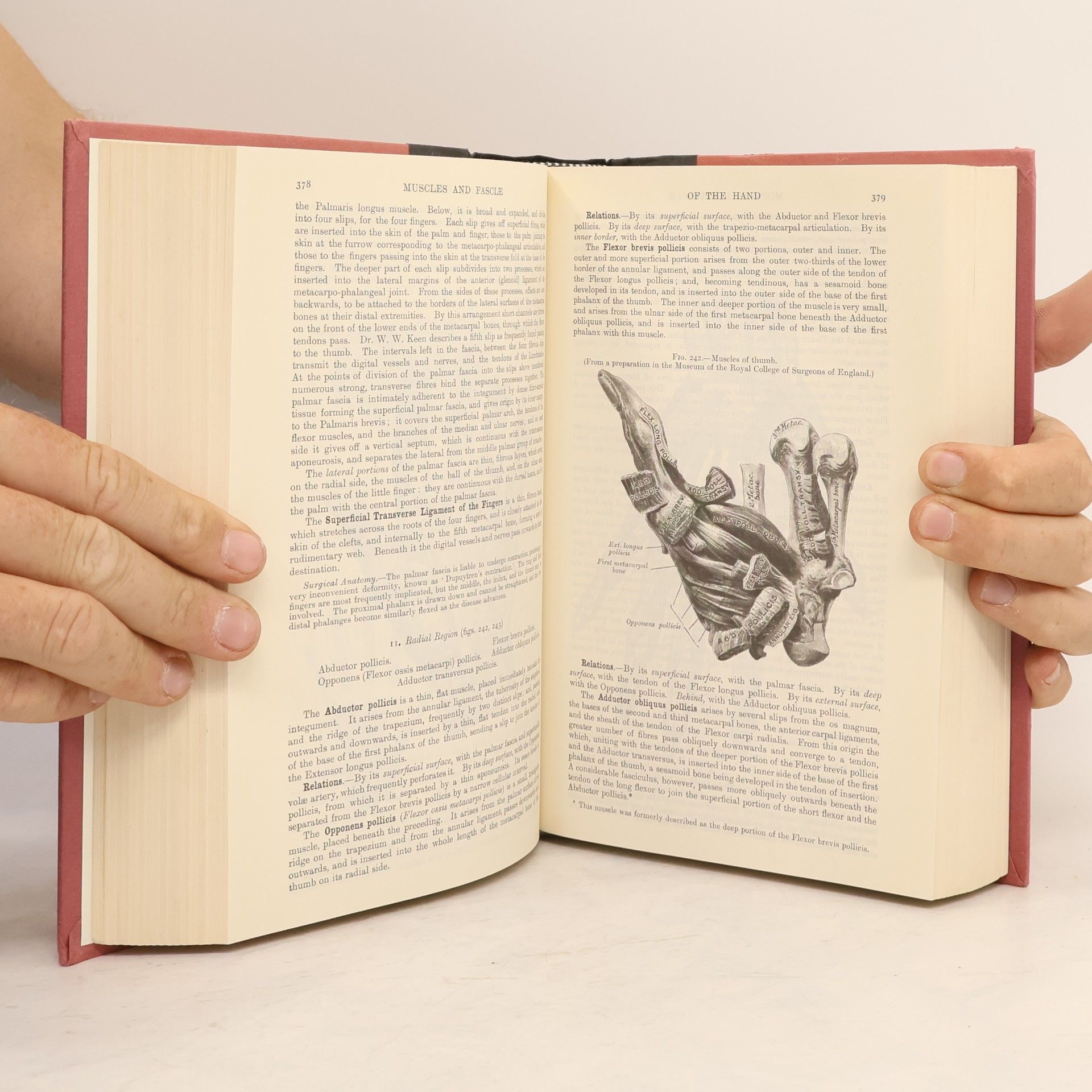 Henry Gray F.R.S. Gray's Anatomy