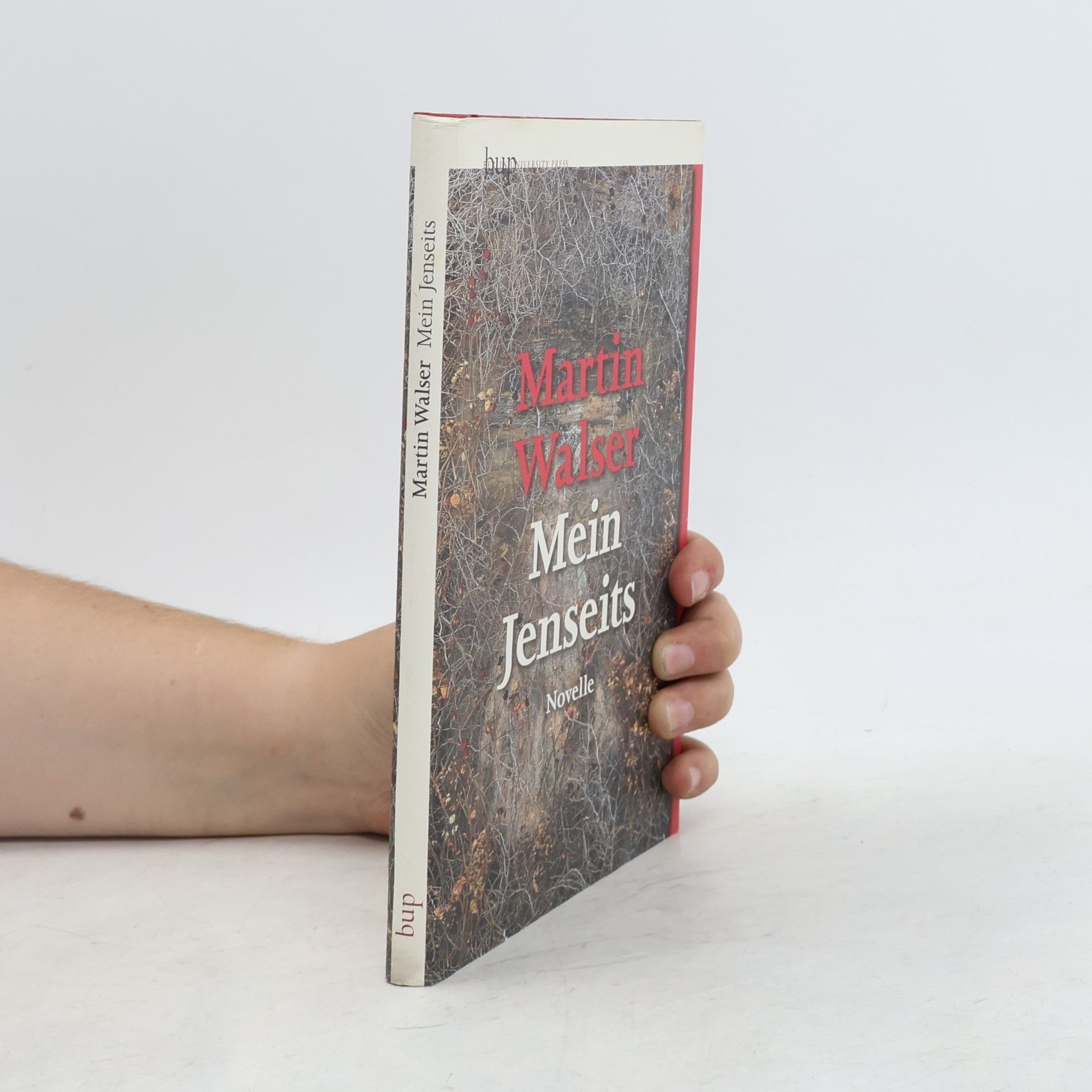 Martin Walser Mein Jenseits