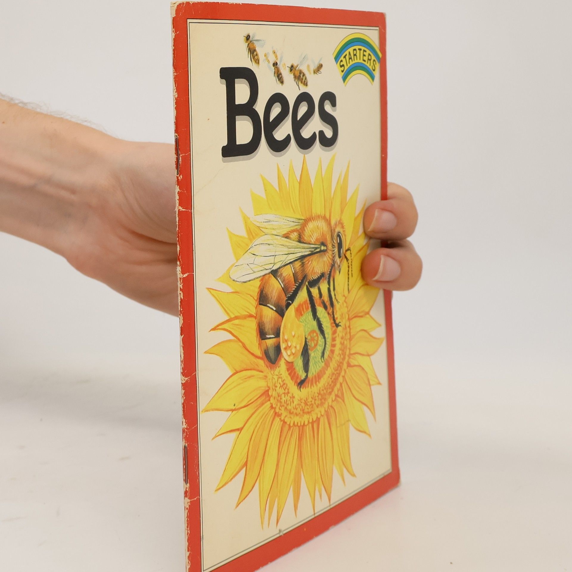 Starters: Bees
