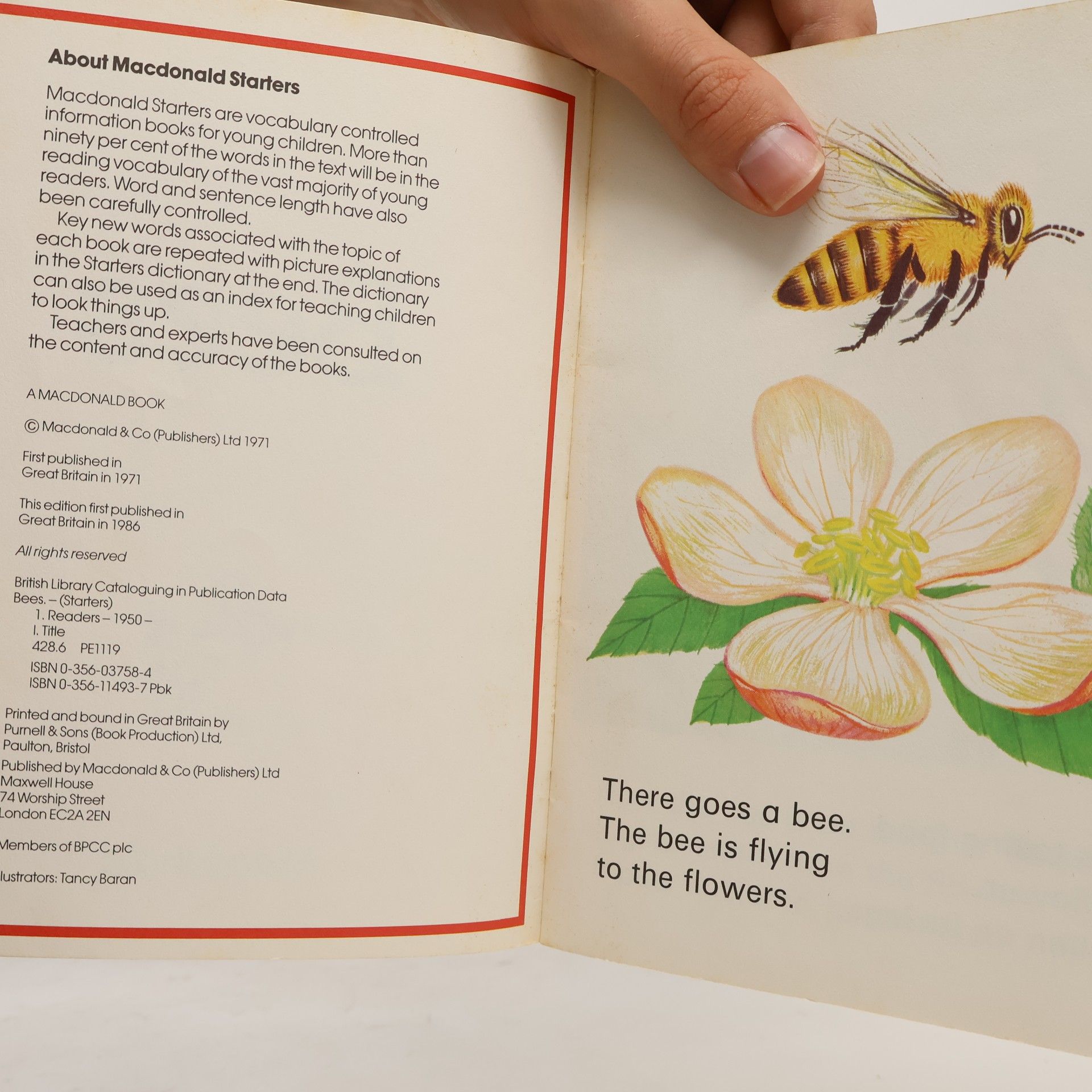 Unknown Author Starters: Bees