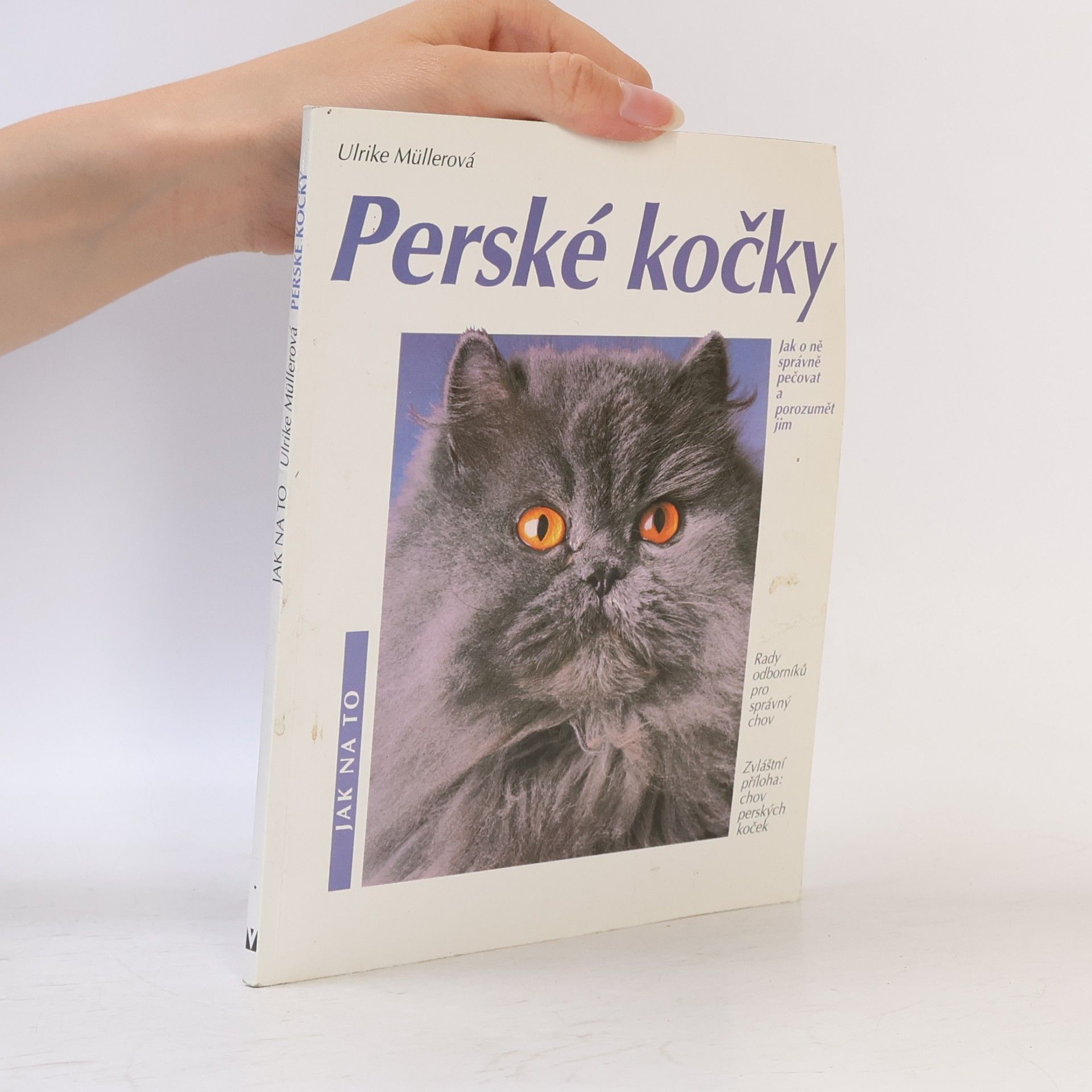 Perské kočky. Porozumění a správná péče. Rady odborníků pro správný chov