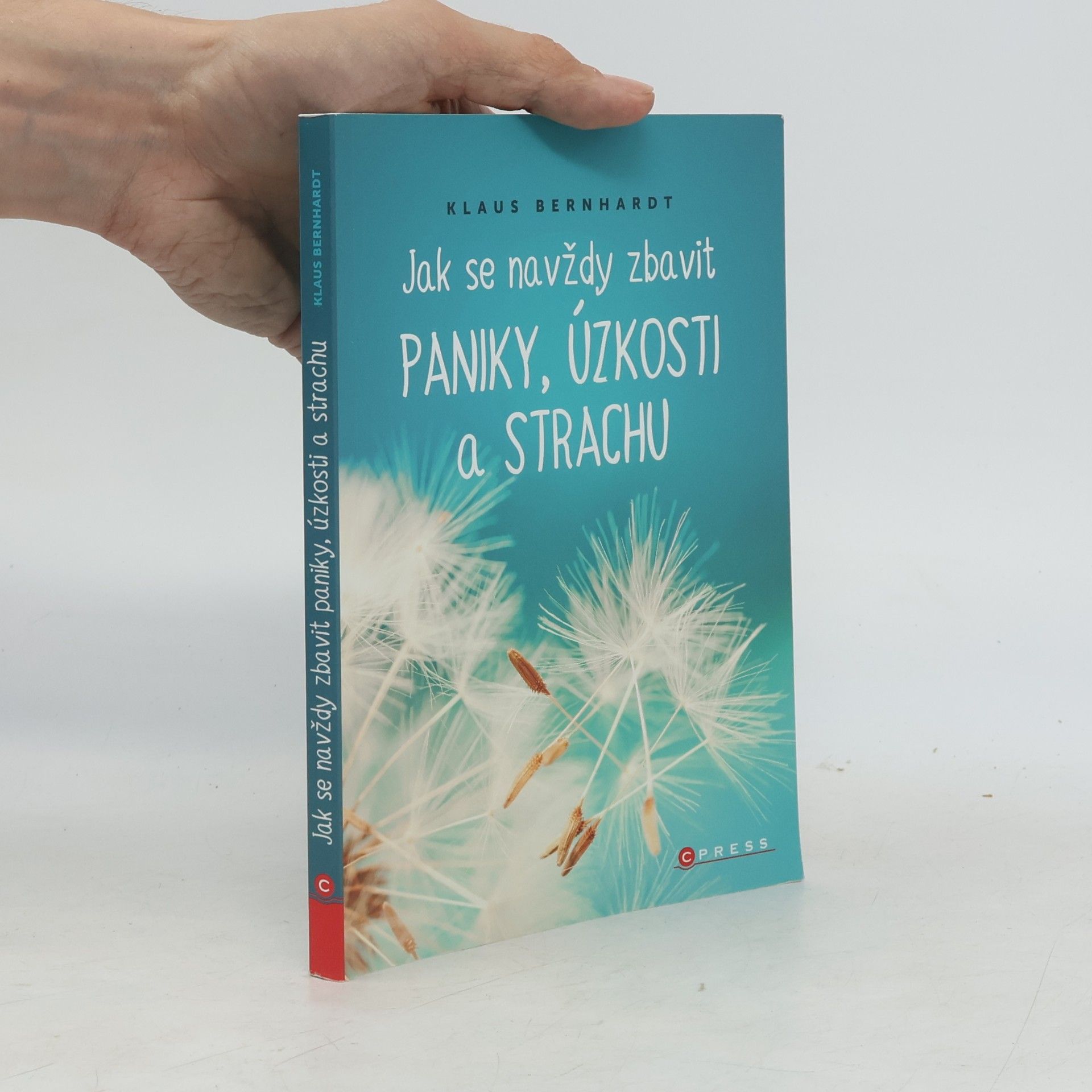 Klaus Bernhardt Jak se navždy zbavit paniky, úzkosti a strachu