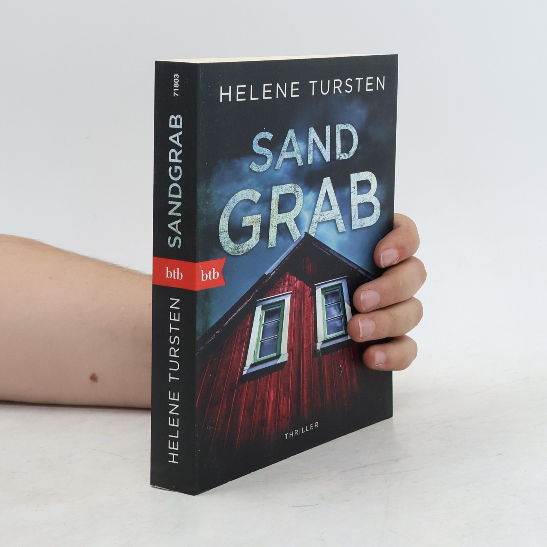 Helene Tursten Sandgrab