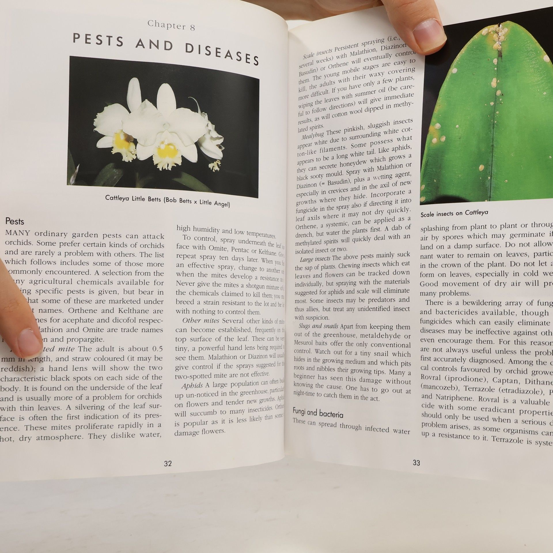 I. D. James Bateman Good Gardening Guides: Growing Orchids