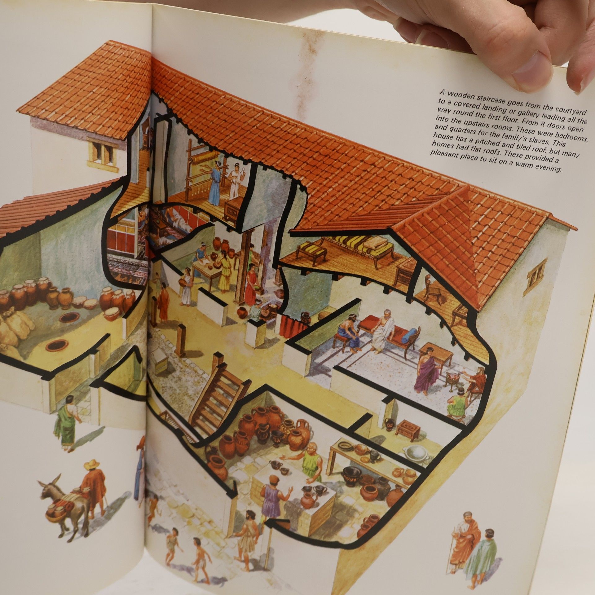 Jonathan Rutland See Inside: An Ancient Greek Town