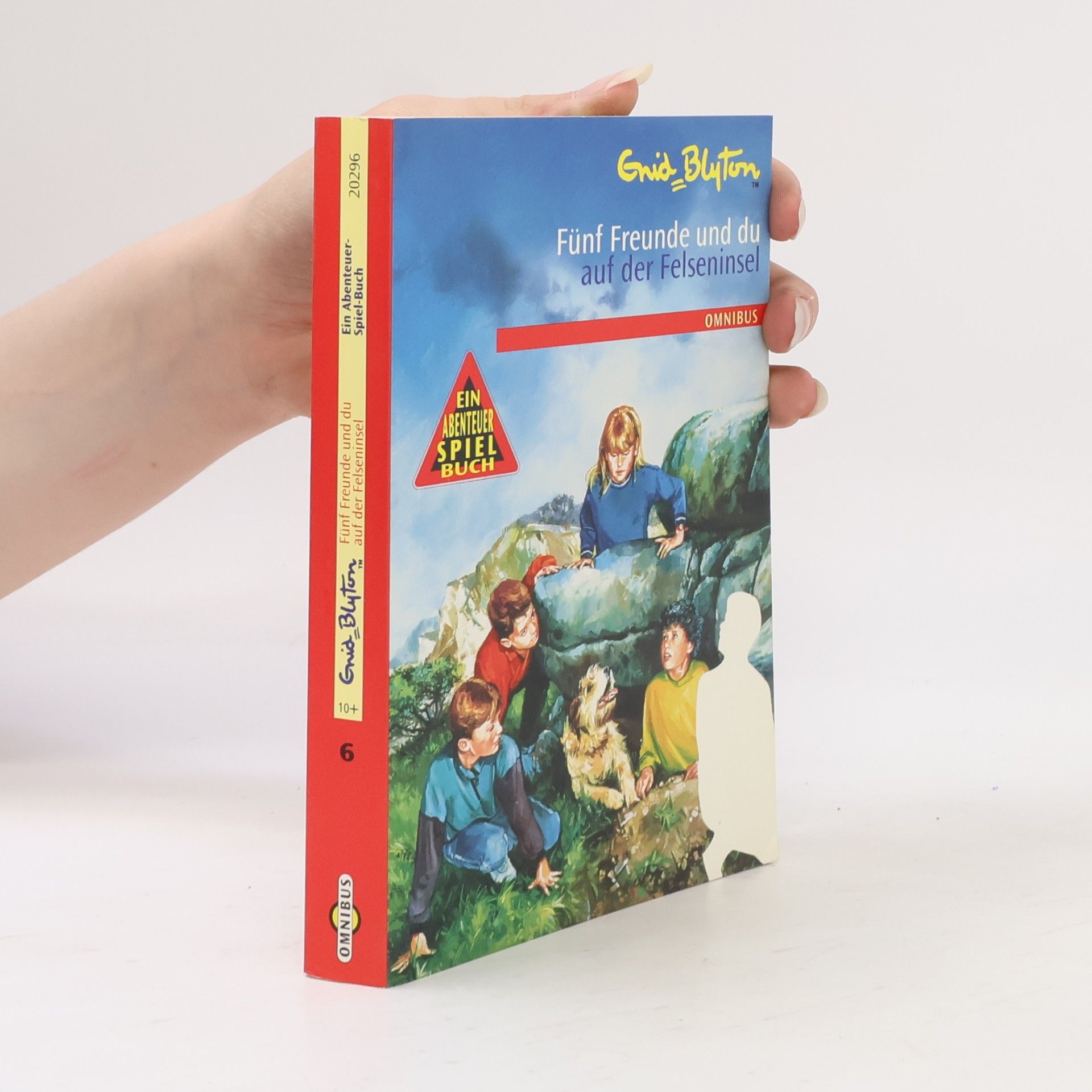 Enid Blyton Fünf Freunde und Du auf der Felseninsel
