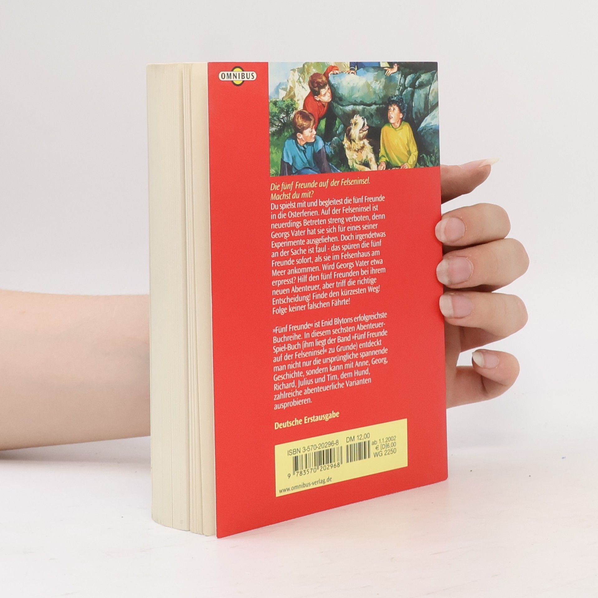Enid Blyton Fünf Freunde und Du auf der Felseninsel