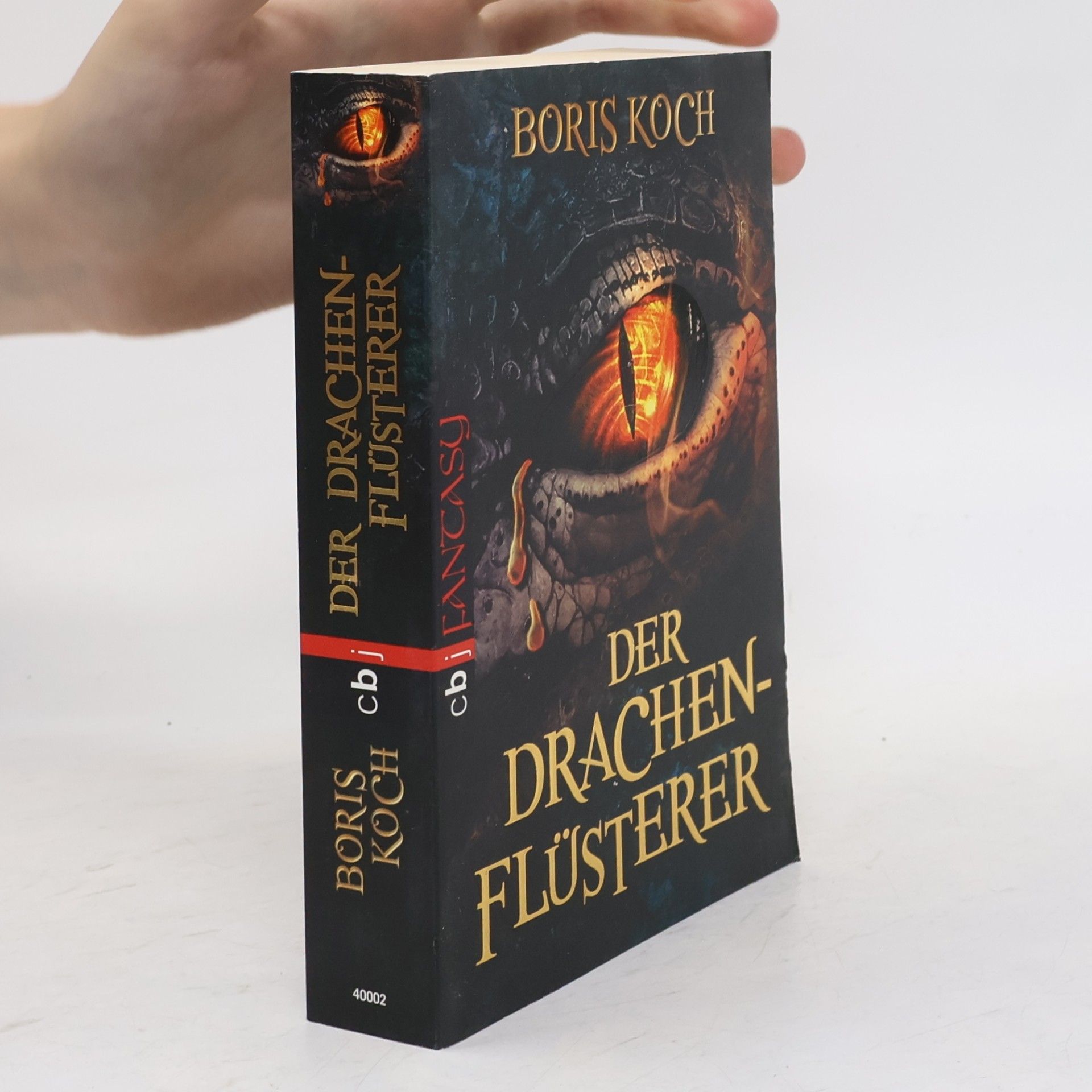 Boris Koch Der Drachenflüsterer